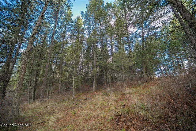 $324,999 | 1635 Canyon Ridge Lane, Plummer, ID 83851