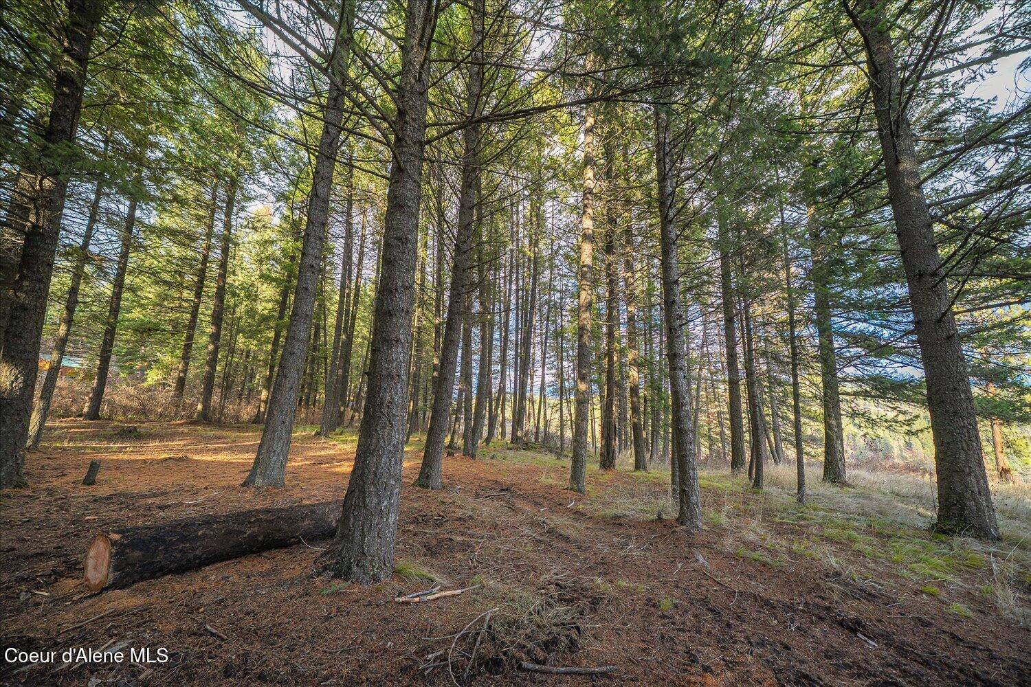 1635 Canyon Ridge Lane Plummer, ID 83851 - Photo 46 of 80 45-1635 Canyon Ridge Ln-043