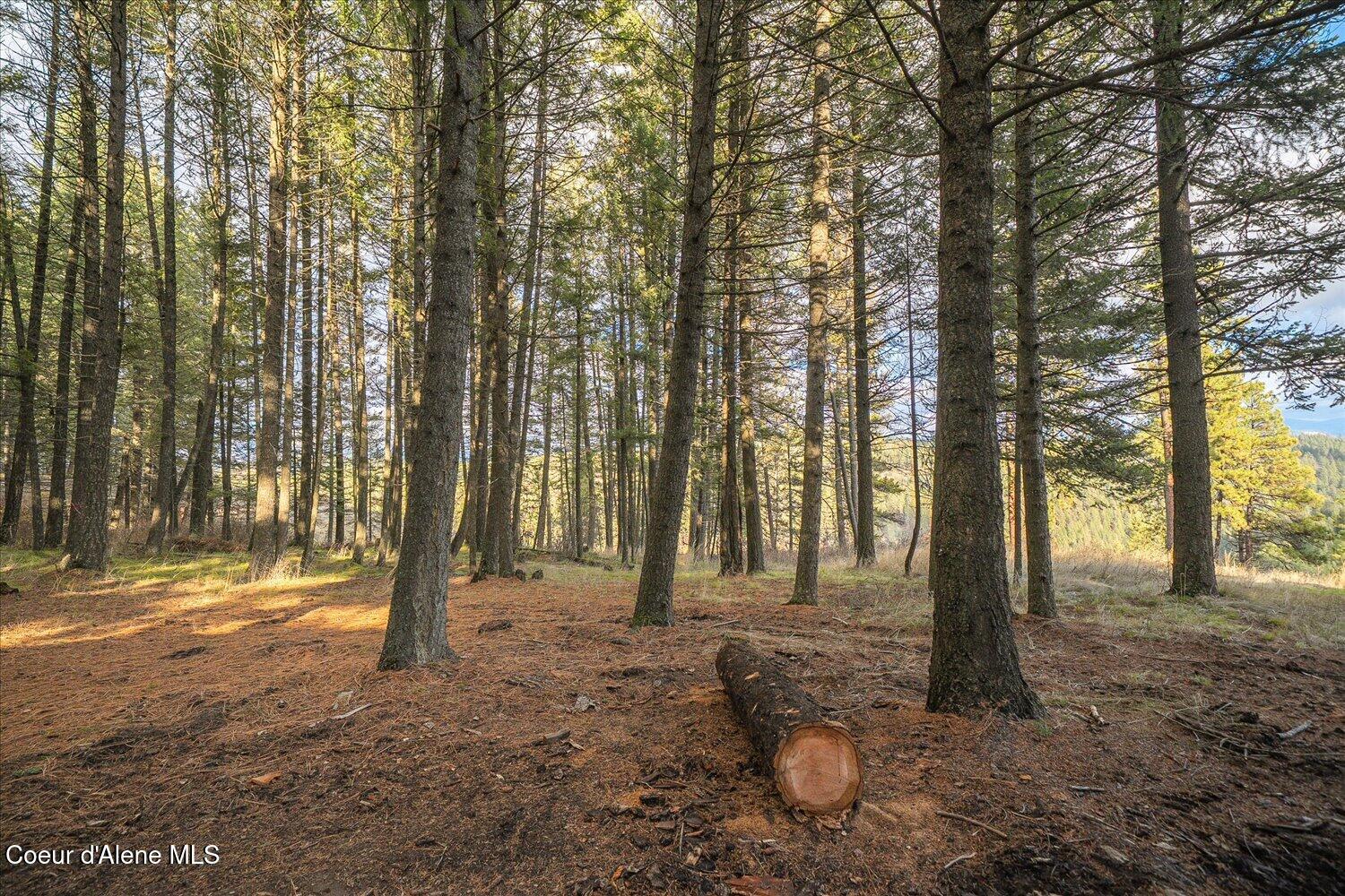 1635 Canyon Ridge Lane Plummer, ID 83851 - Photo 47 of 80 46-1635 Canyon Ridge Ln-044