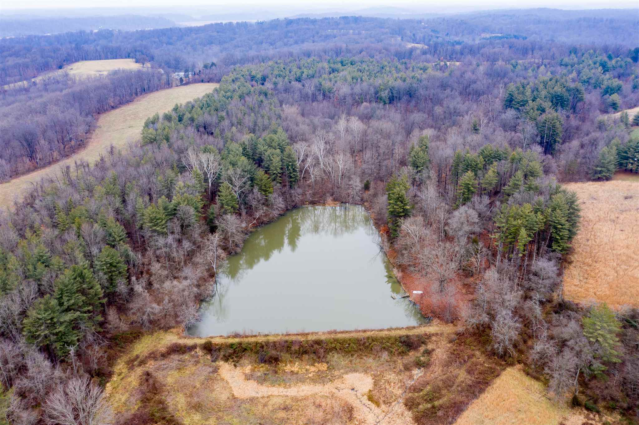 Tbd Red School Road Shoals, IN 47581 - Photo 7 of 17
