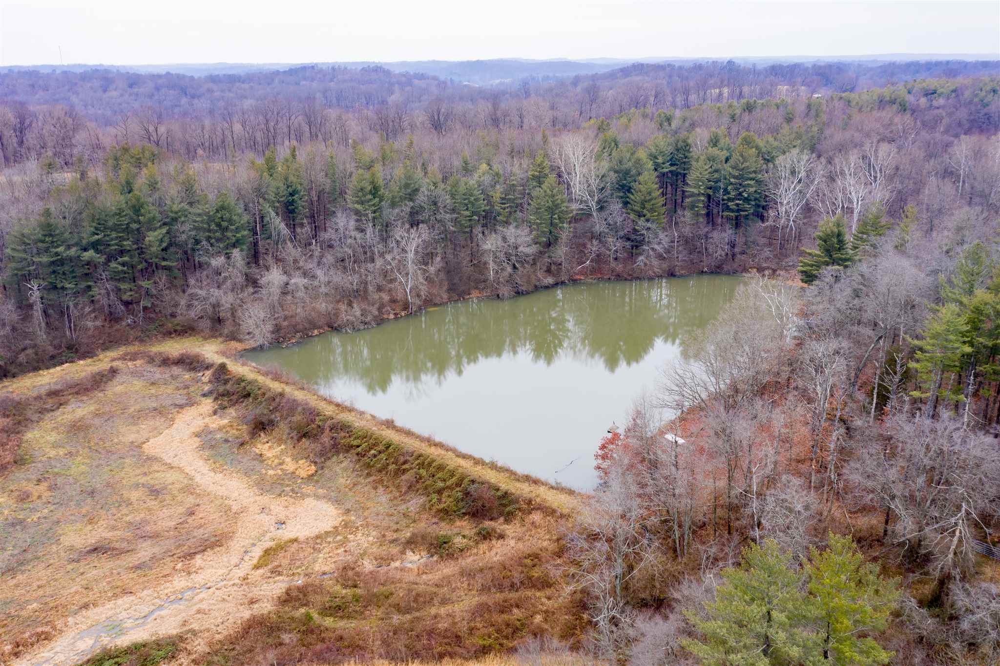 Tbd Red School Road Shoals, IN 47581 - Photo 8 of 17