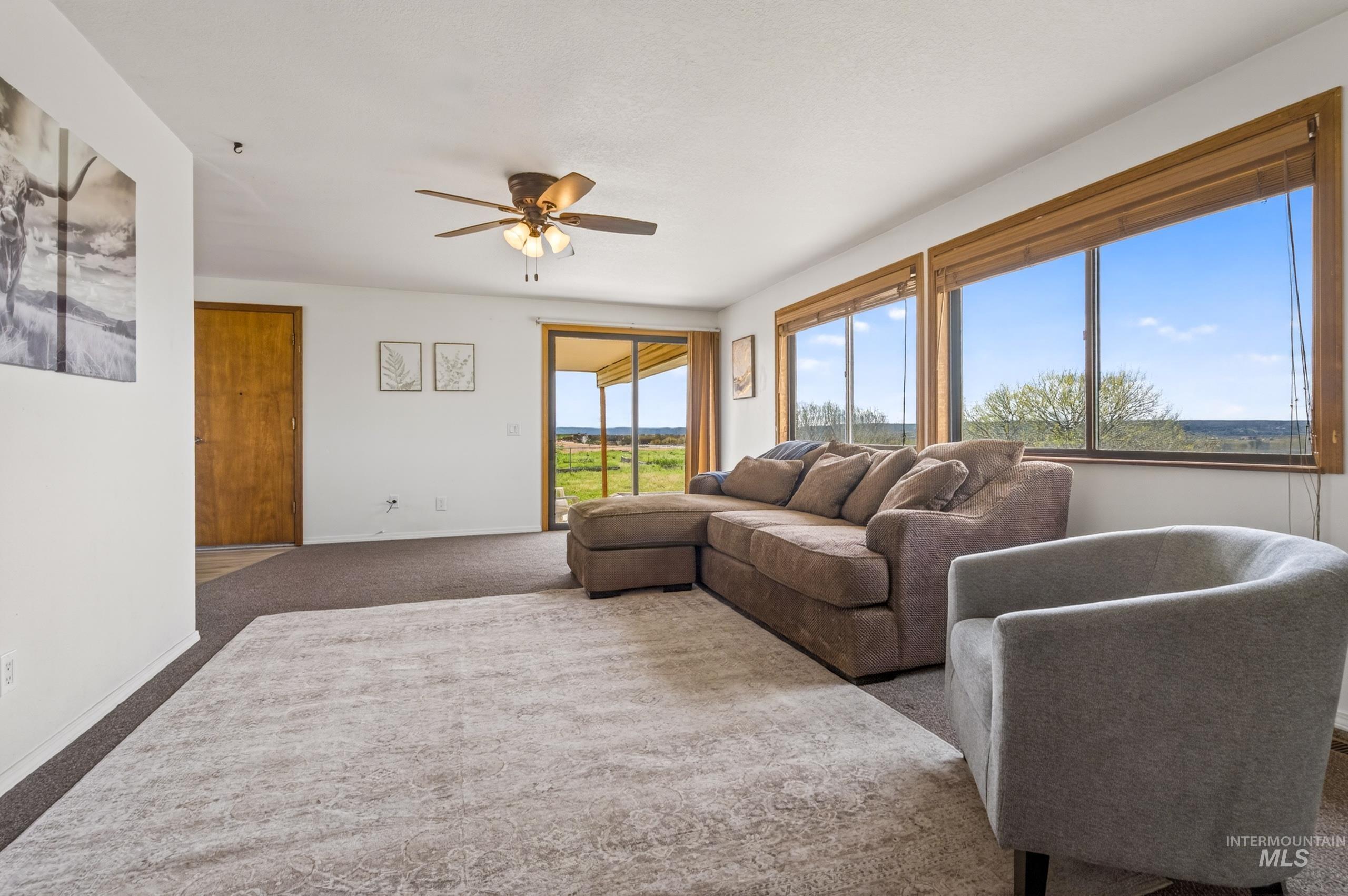 8989 Hillview Road Emmett, ID 83617 - Photo 18 of 50 Living room featuring carpet and a ceiling fan