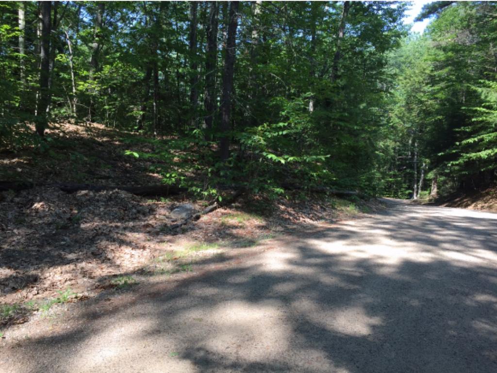 Lot 103 White Birch Road Barnstead, NH 03218 - Photo 8 of 8 Gallery Image 8