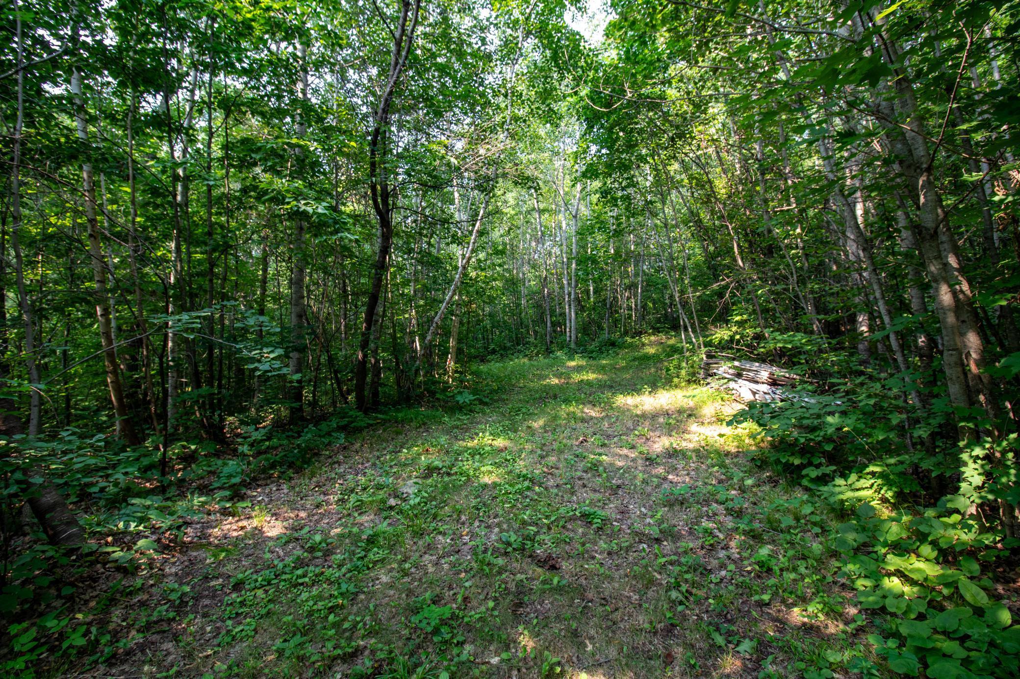 39 Co Highway 39 Osage, MN 56570 - Photo 36 of 43