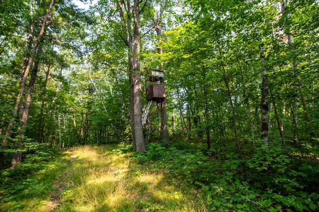 $600,000 | 39 Co Highway 39, Osage, MN 56570