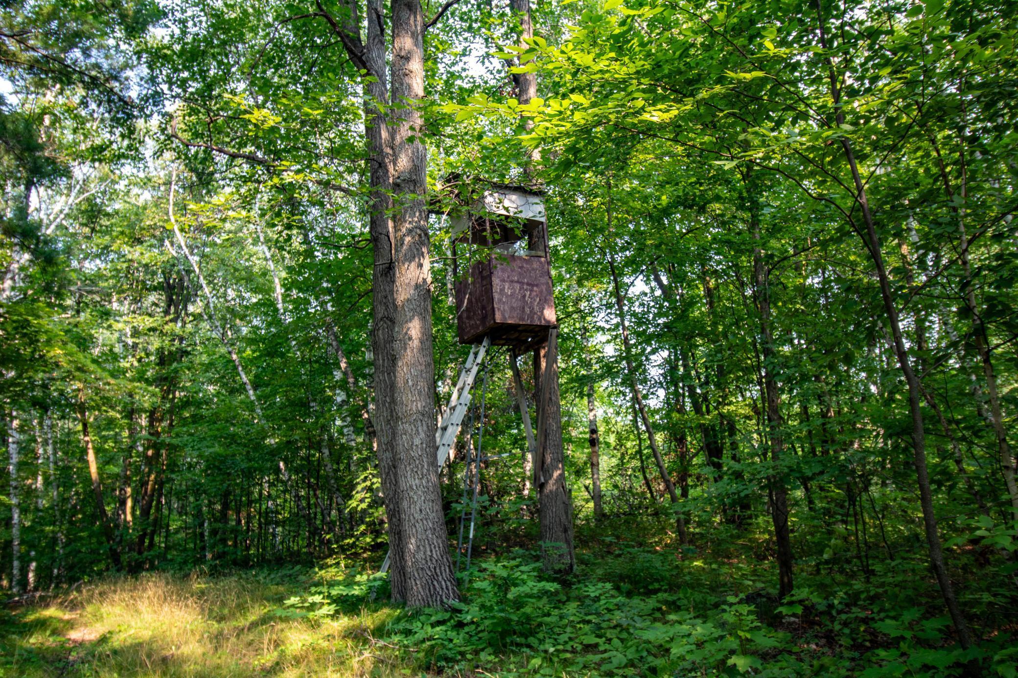 39 Co Highway 39 Osage, MN 56570 - Photo 38 of 43