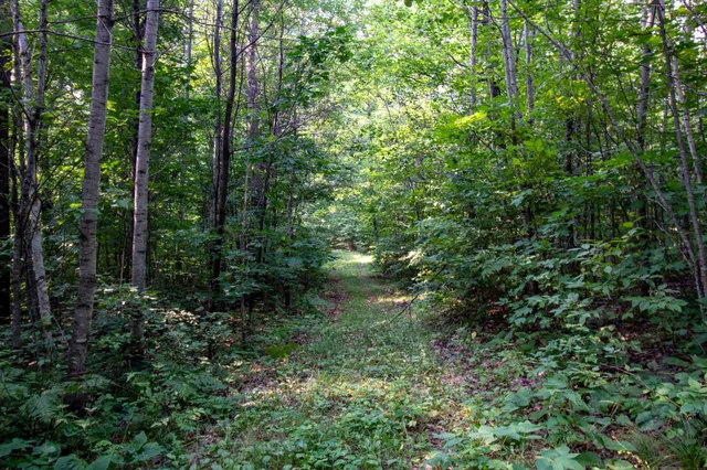 $600,000 | 39 Co Highway 39, Osage, MN 56570