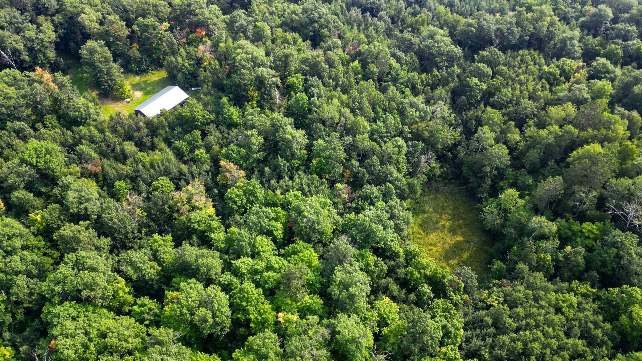 39 Co Highway 39 Osage, MN 56570 - Photo 8 of 43