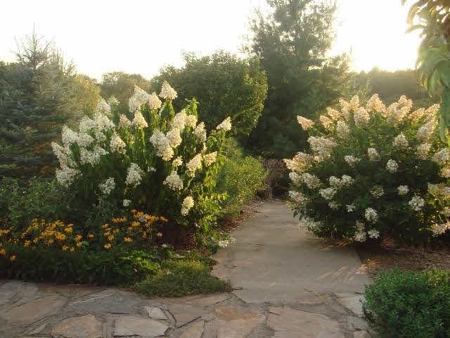 558 Perch Lake Road Hudson, WI 54016 - Photo 16 of 18 Gallery Image 16