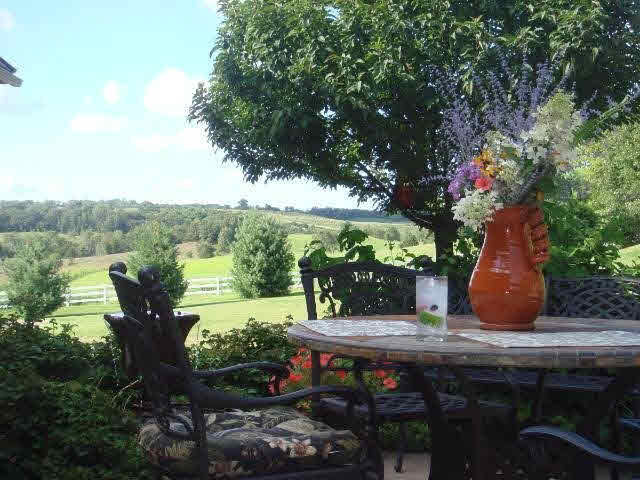 558 Perch Lake Road Hudson, WI 54016 - Photo 8 of 18 Gallery Image 8