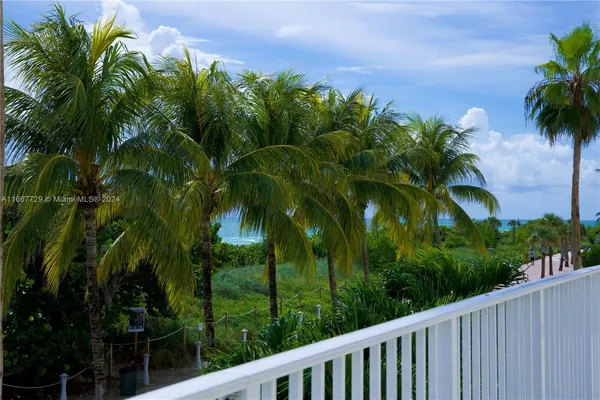 a view of a yard