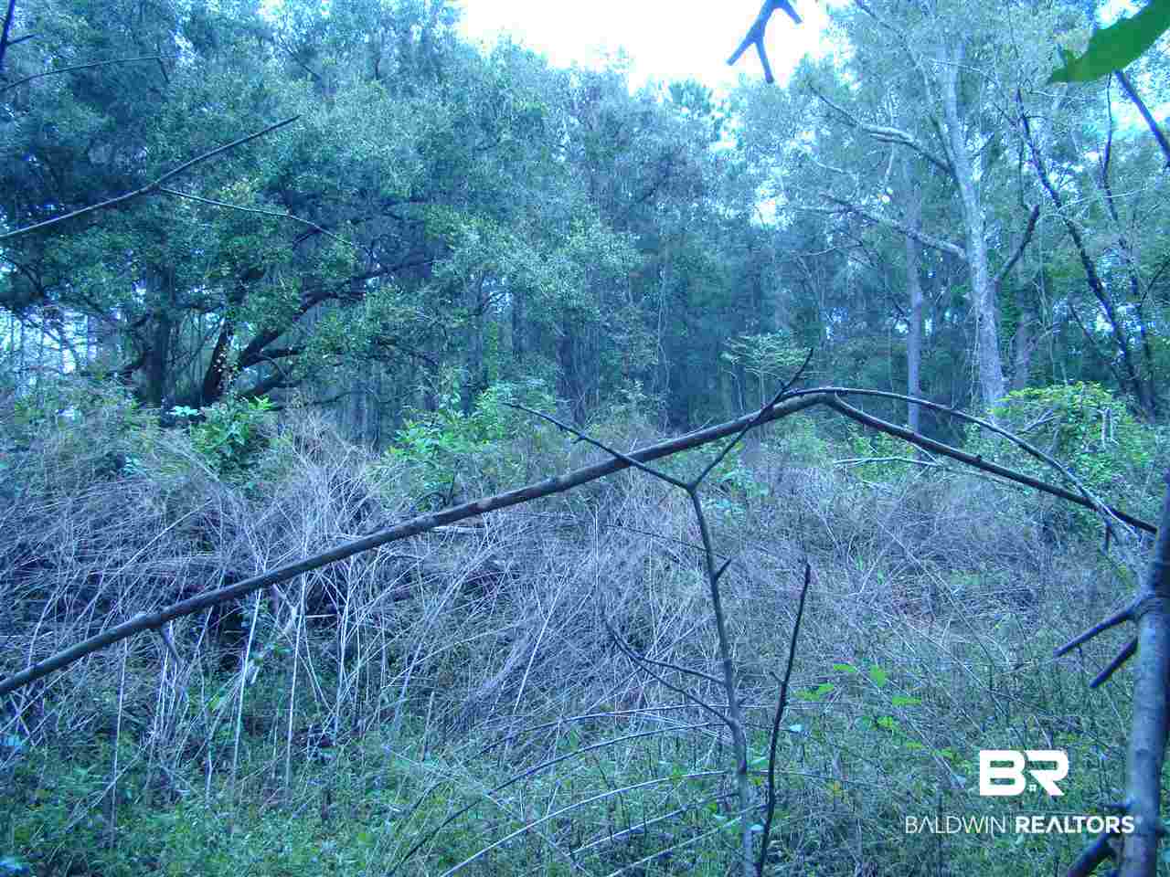 0 Lilly Wilson Lane Bay Minette, AL 36507 - Photo 8 of 9
