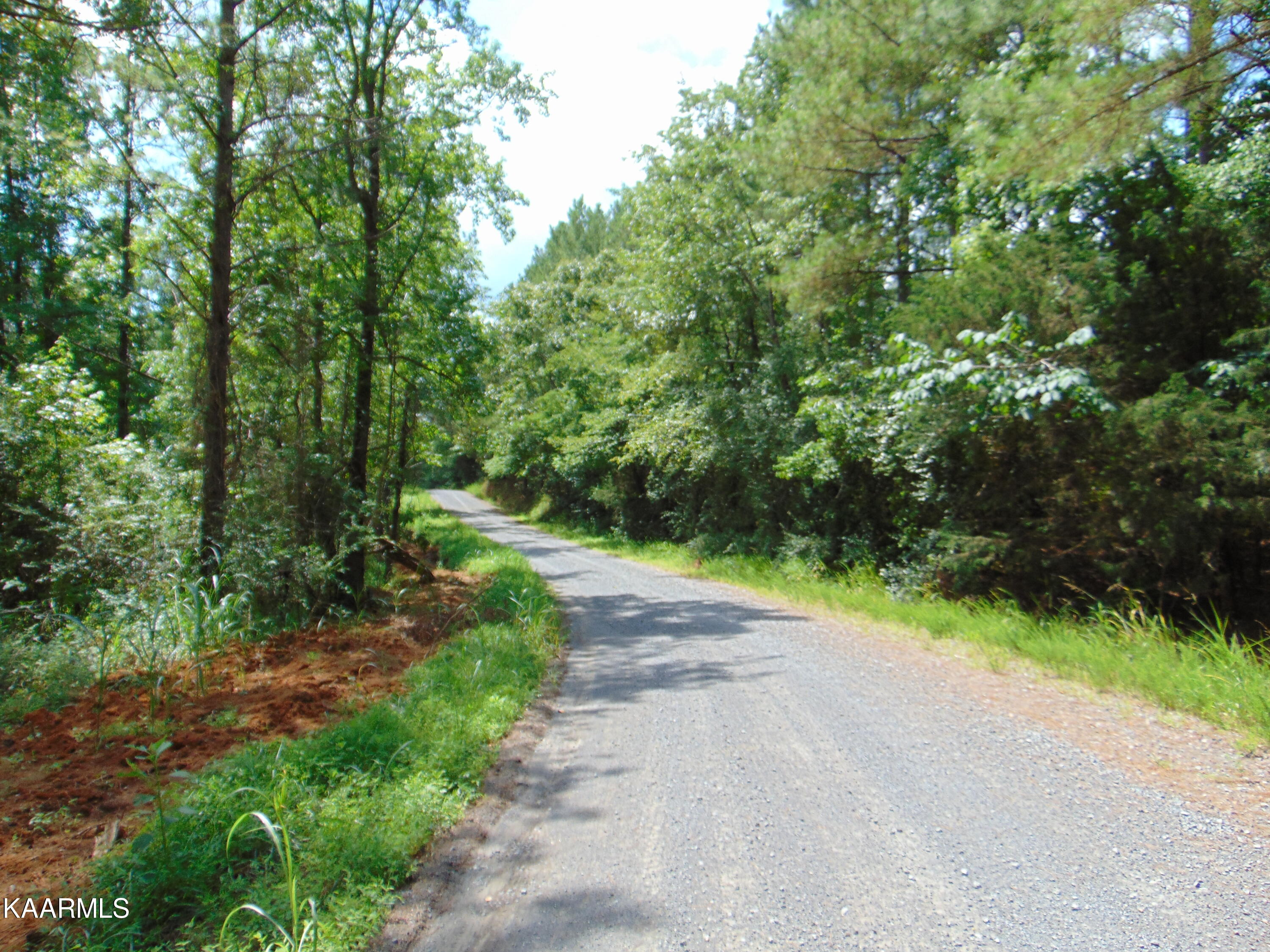 4 Charles Road Decatur, TN 37322 - Photo 2 of 6 TR 4 & 5 Charles 2