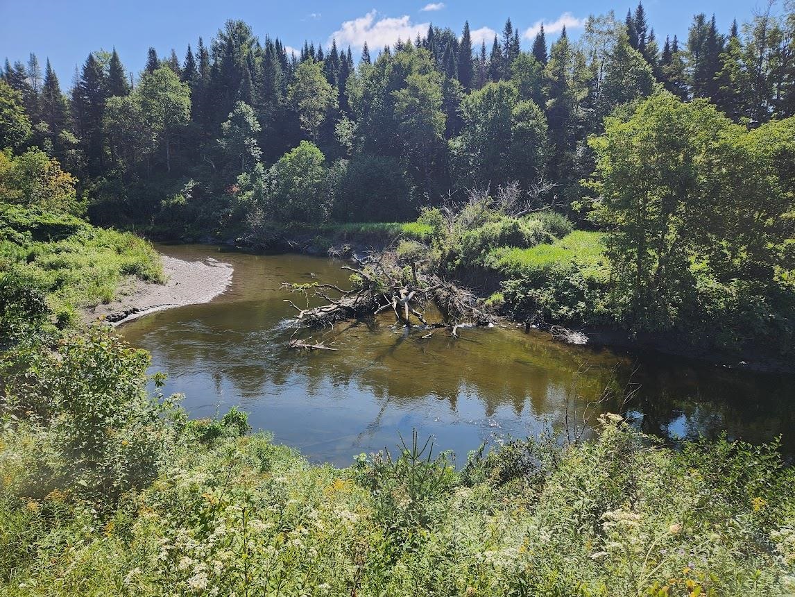 4117 Highway 2 Marshfield, VT 05658 - Photo 38 of 40