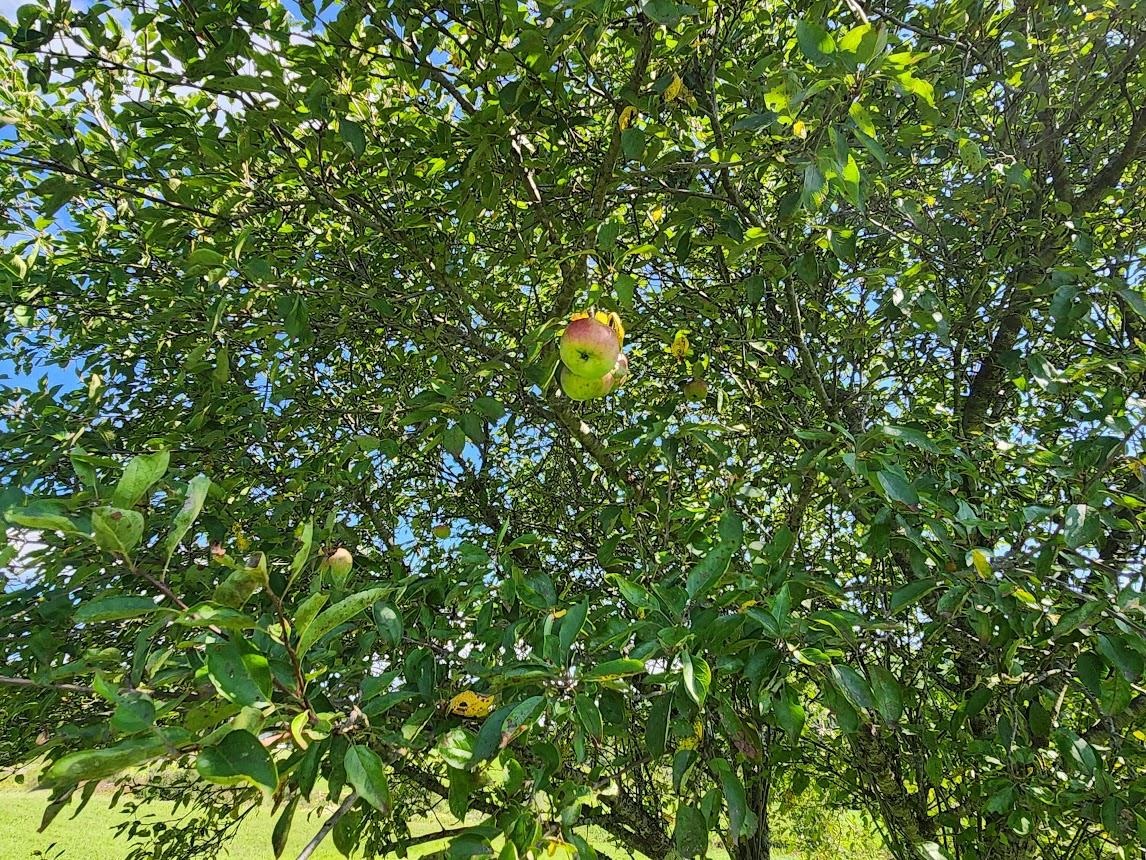 4117 Highway 2 Marshfield, VT 05658 - Photo 39 of 40