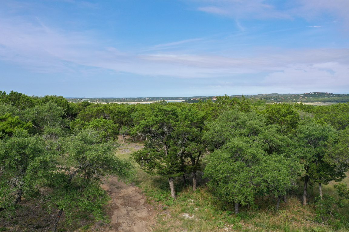 8000 Lime Creek Road Leander, TX 78641 - Photo 15 of 16 a view of a field of grass and trees