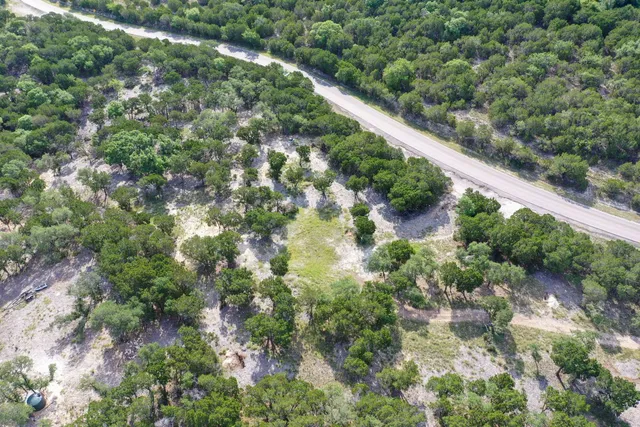 a view of a lush green forest with lots of trees
