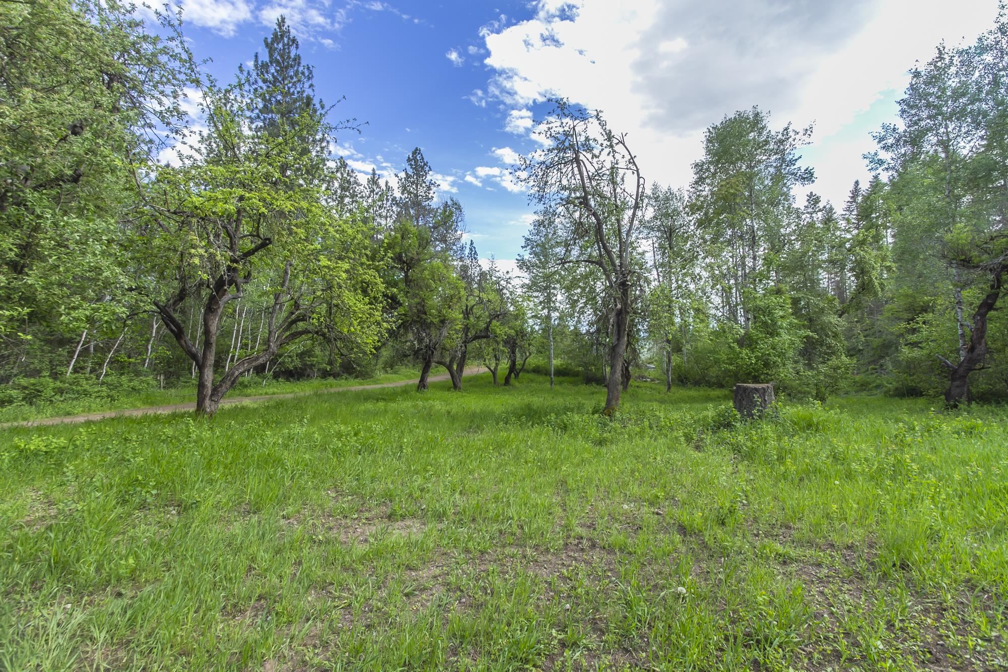 1631 Bonanza Hill Road, Unit P Evans, WA 99126 - Photo 42 of 47