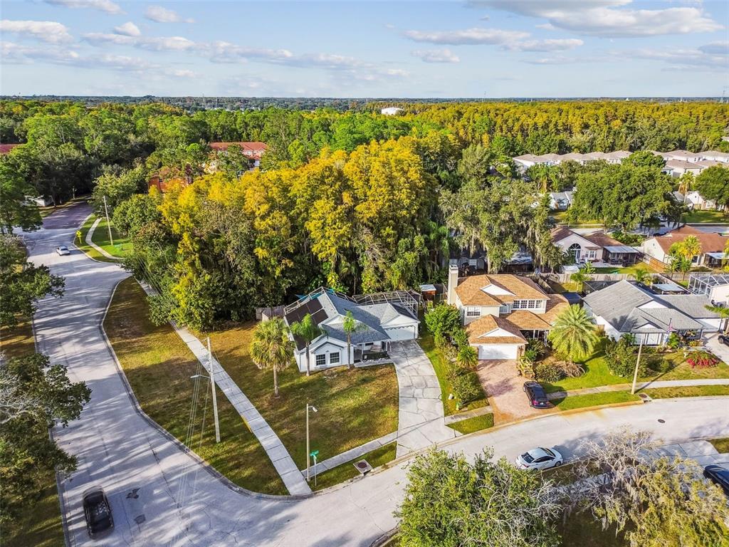 7501 Fawn Lake Road New Port Richey, FL 34655 - Photo 3 of 27 a view of a swimming pool with lawn chairs and plants