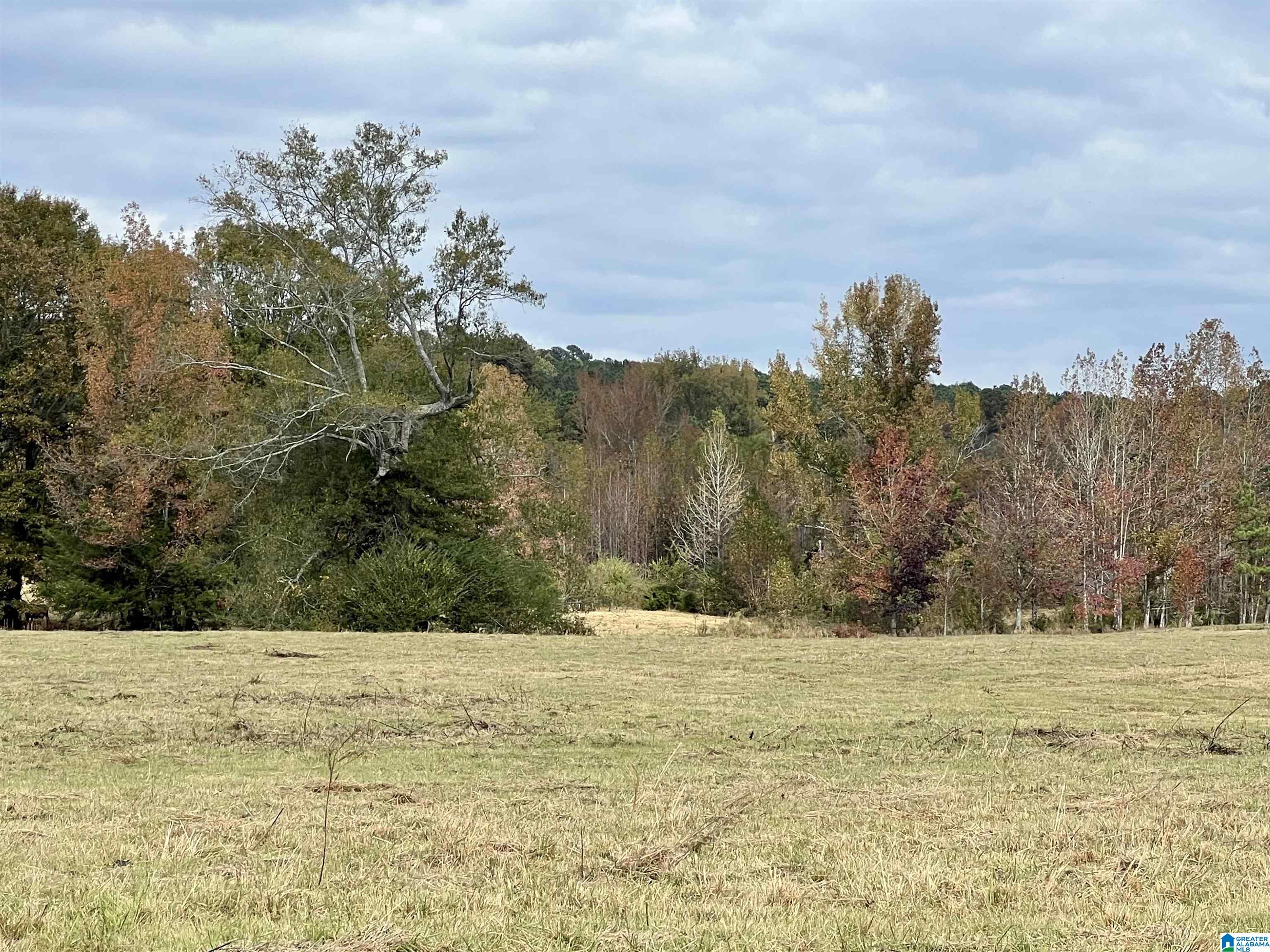 0 Rock Springs Road, Unit 52 24 Warrior, AL 35180 - Photo 14 of 39