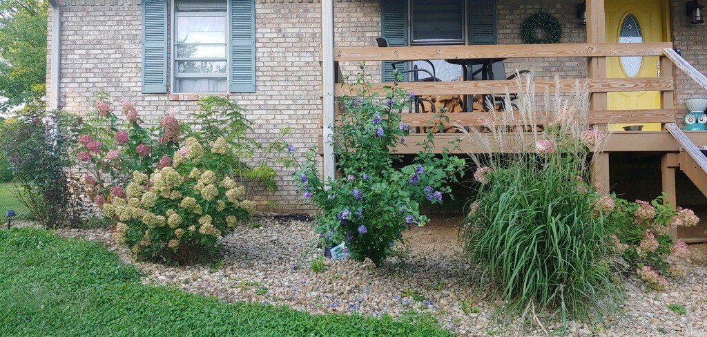 7746 Locust Lake Road Spencer, IN 47460 - Photo 5 of 28 Gallery Image 5