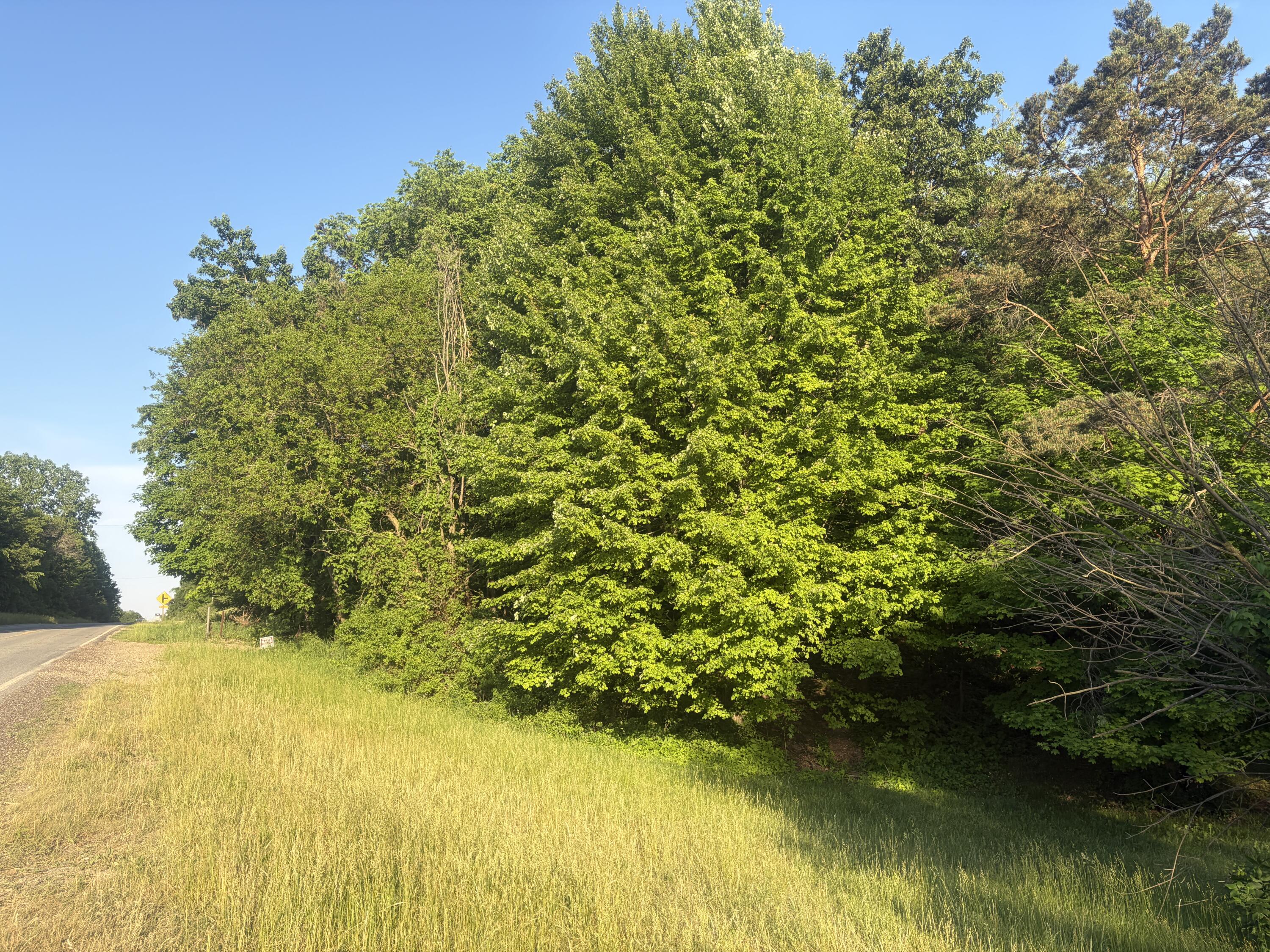 Pifer Road Delton, MI 49046 - Photo 6 of 8 IMG_8174