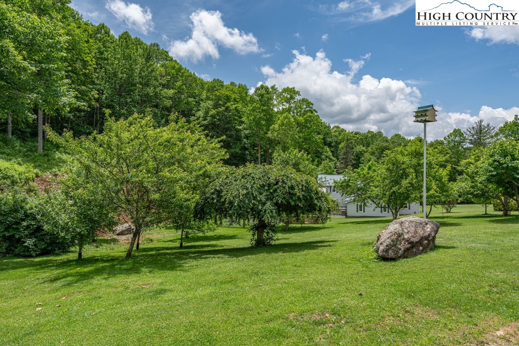 175 Roaring Fork Road Todd, NC 28684 - Photo 18 of 24 a view of a park