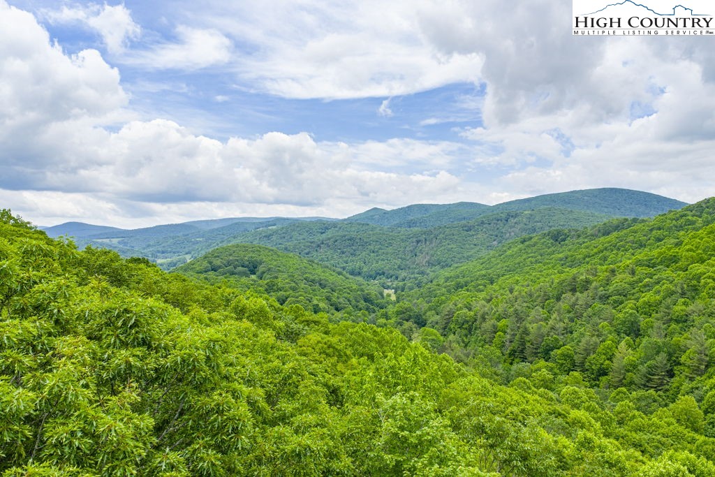 175 Roaring Fork Road Todd, NC 28684 - Photo 19 of 24 a view of a city with lush green forest