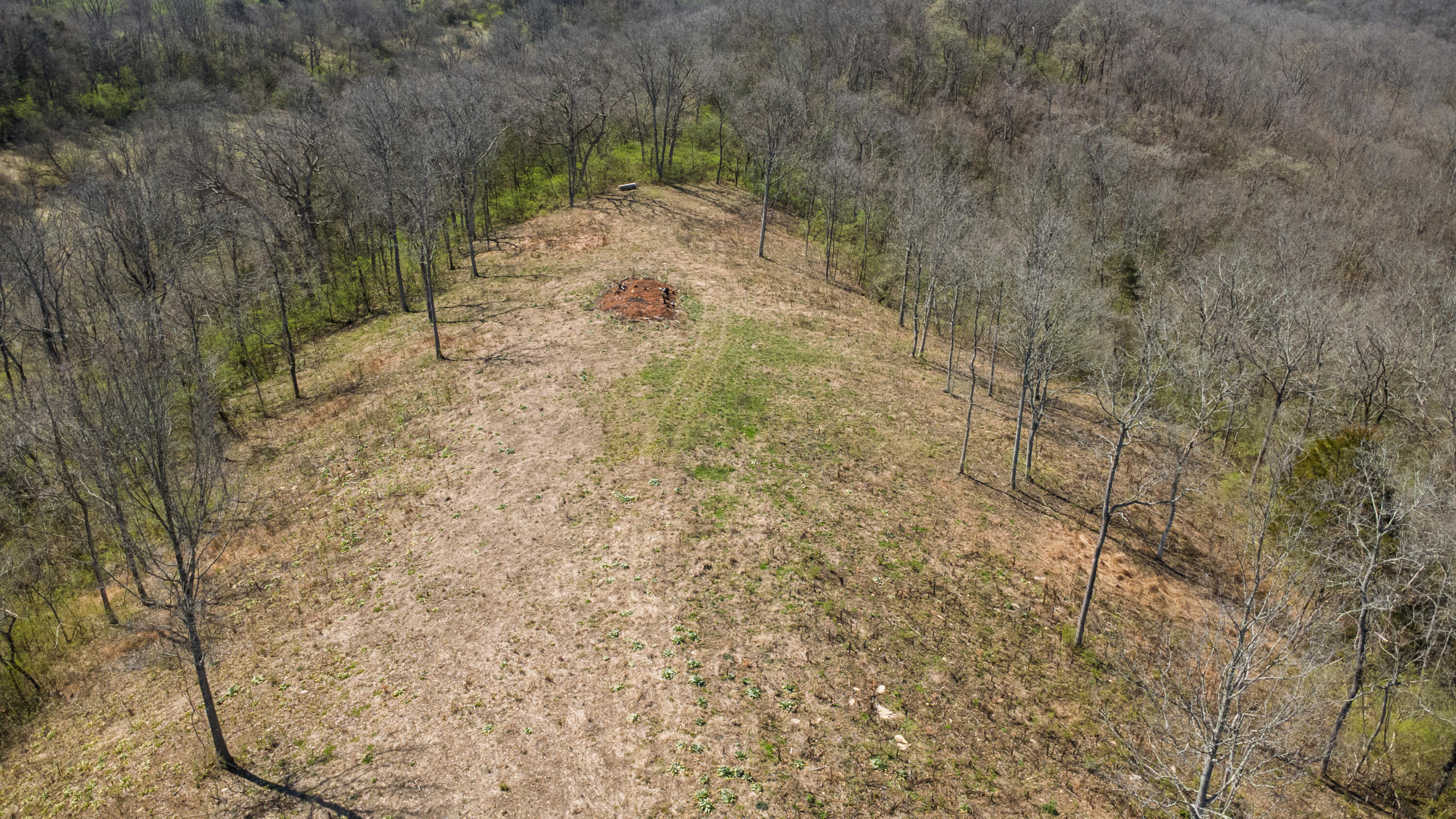 0 Washington Trace Road California, KY 41007 - Photo 10 of 23 Gallery Image 10