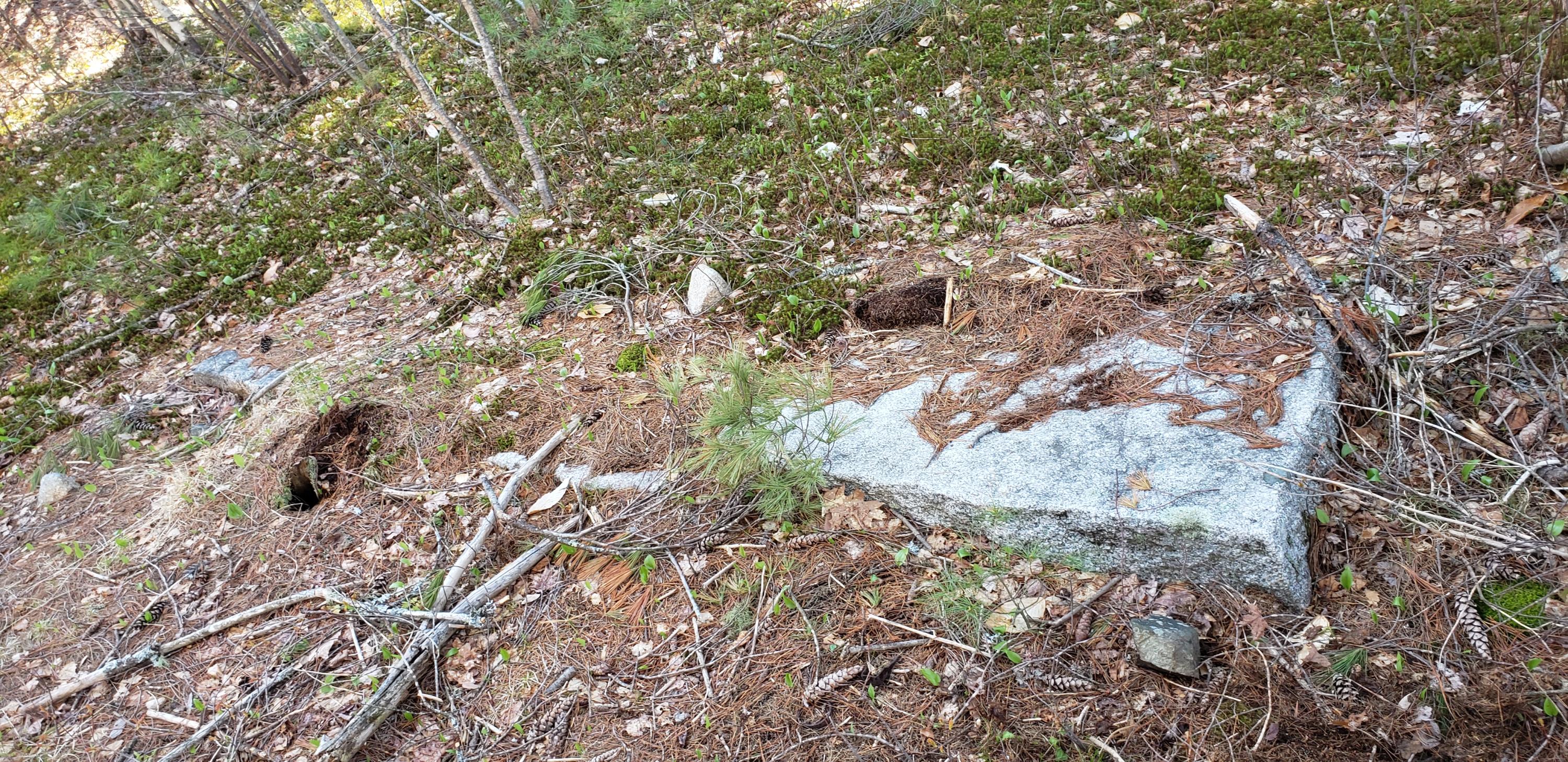 Lot 6 Sabine Road Harrison, ME 04040 - Photo 8 of 9 20210501_151403 (1)