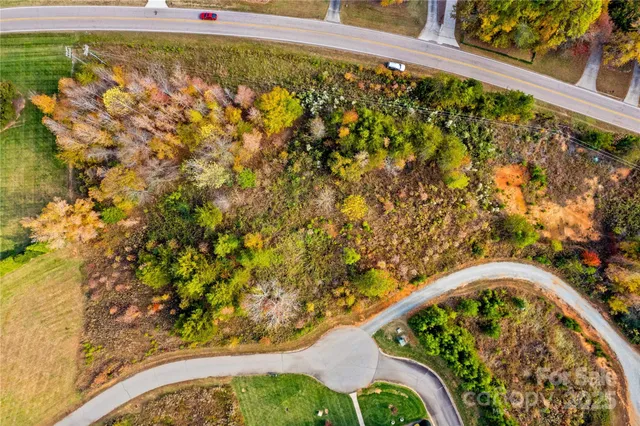 a black and white photo of a garden