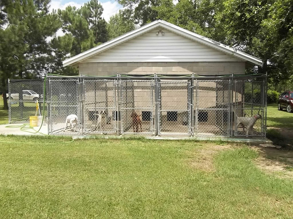 952 Water Tank Road Neeses, SC 29107 - Photo 4 of 15 Photo 4