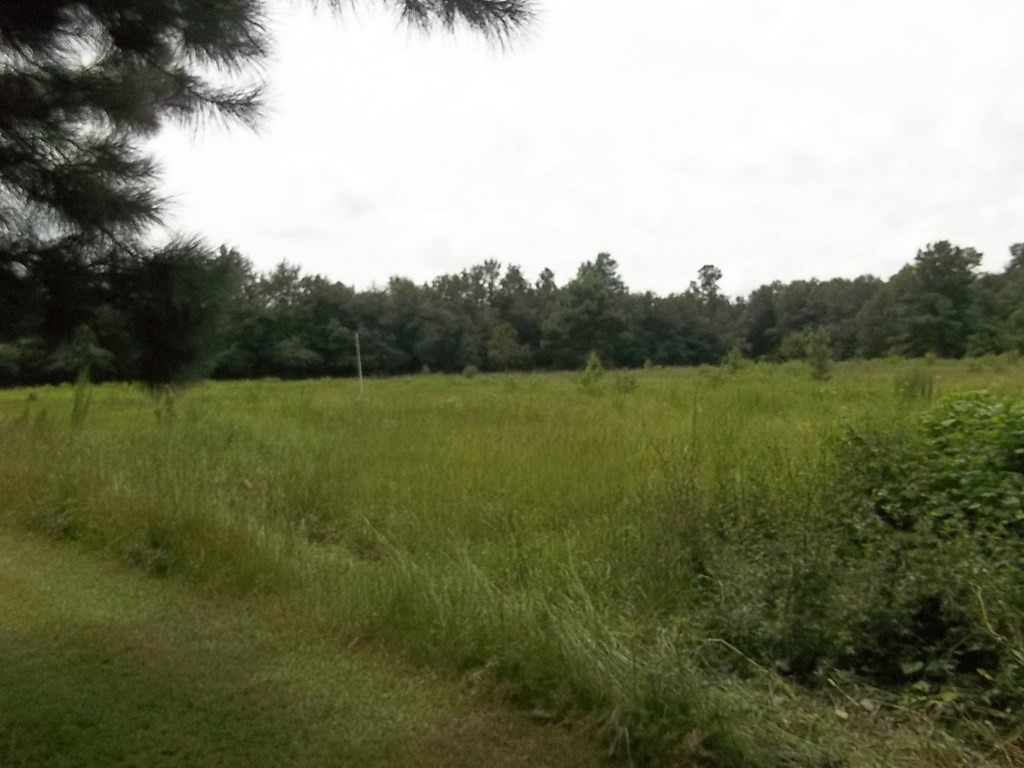 952 Water Tank Road Neeses, SC 29107 - Photo 7 of 15 Photo 7