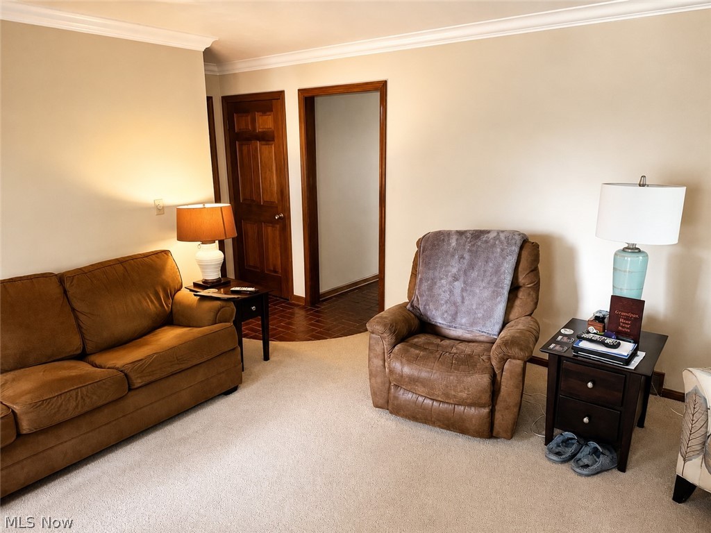 6155 Gibson Road Canfield, OH 44406 - Photo 12 of 43 Carpeted living area featuring crown molding and light neutral wall tones