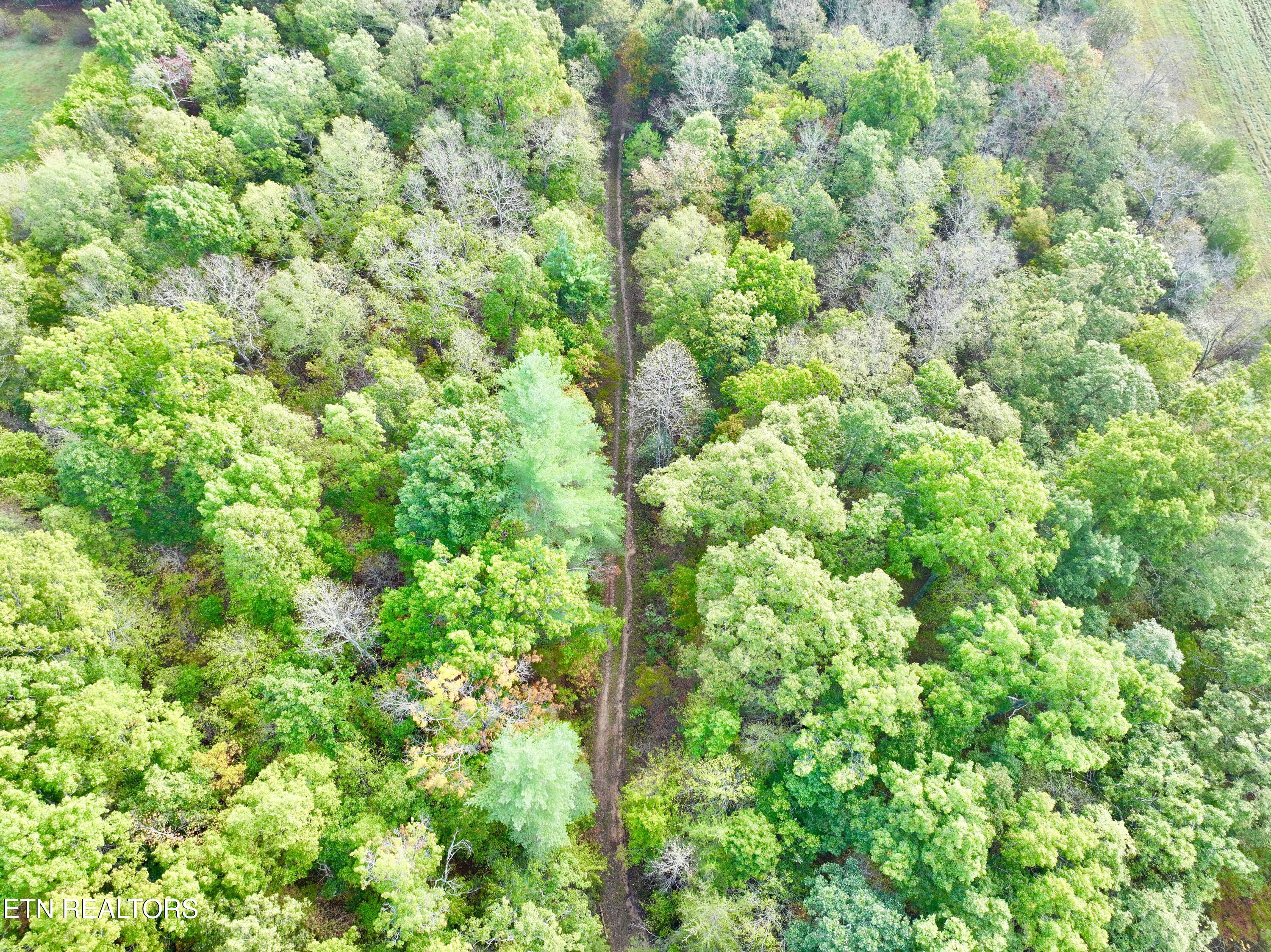 dji_fly_20241004_080754_0343_17280716023