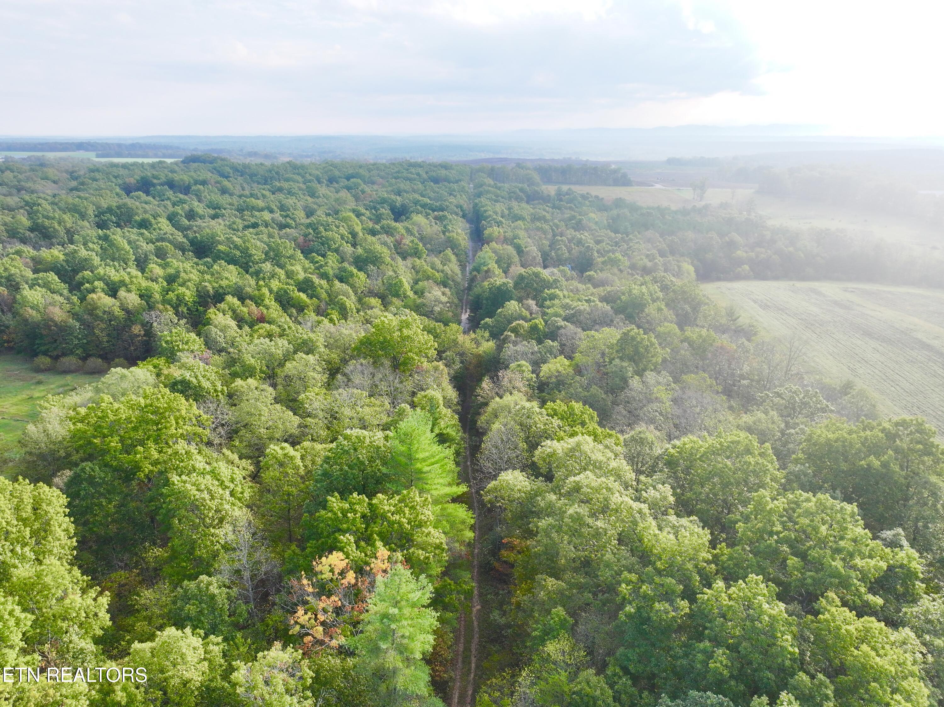 0 Wentland Drive Deer Lodge, TN 37726 - Photo 11 of 21 dji_fly_20241004_080910_0349_17280715999
