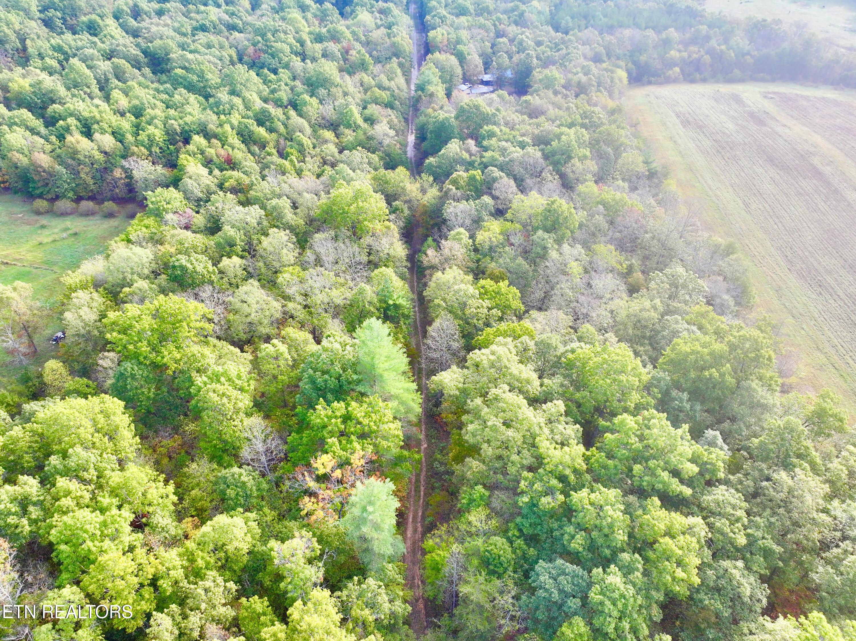 0 Wentland Drive Deer Lodge, TN 37726 - Photo 12 of 21 dji_fly_20241004_080816_0345_17280716014