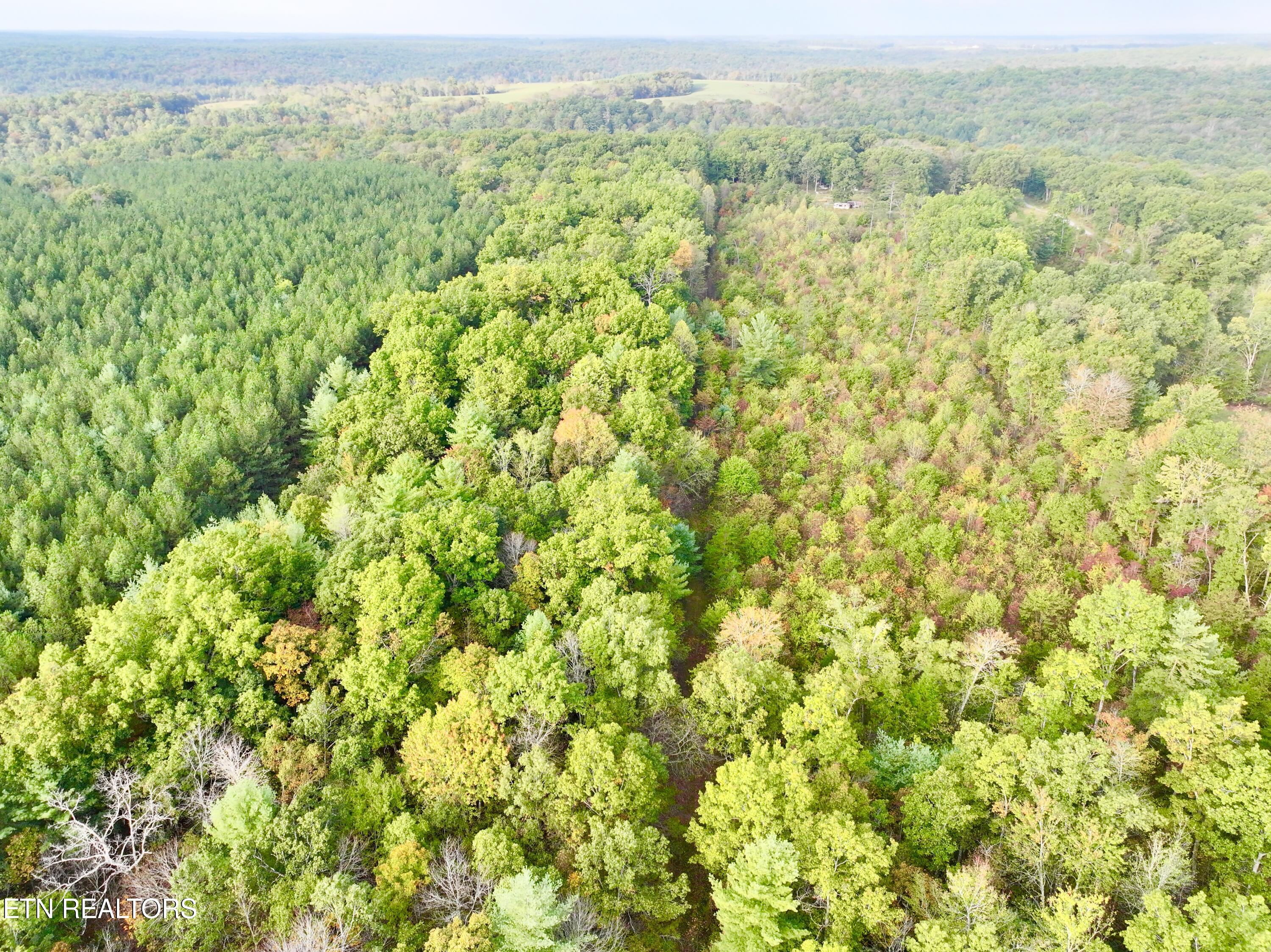 0 Wentland Drive Deer Lodge, TN 37726 - Photo 13 of 21 dji_fly_20241004_080834_0346_17280716010