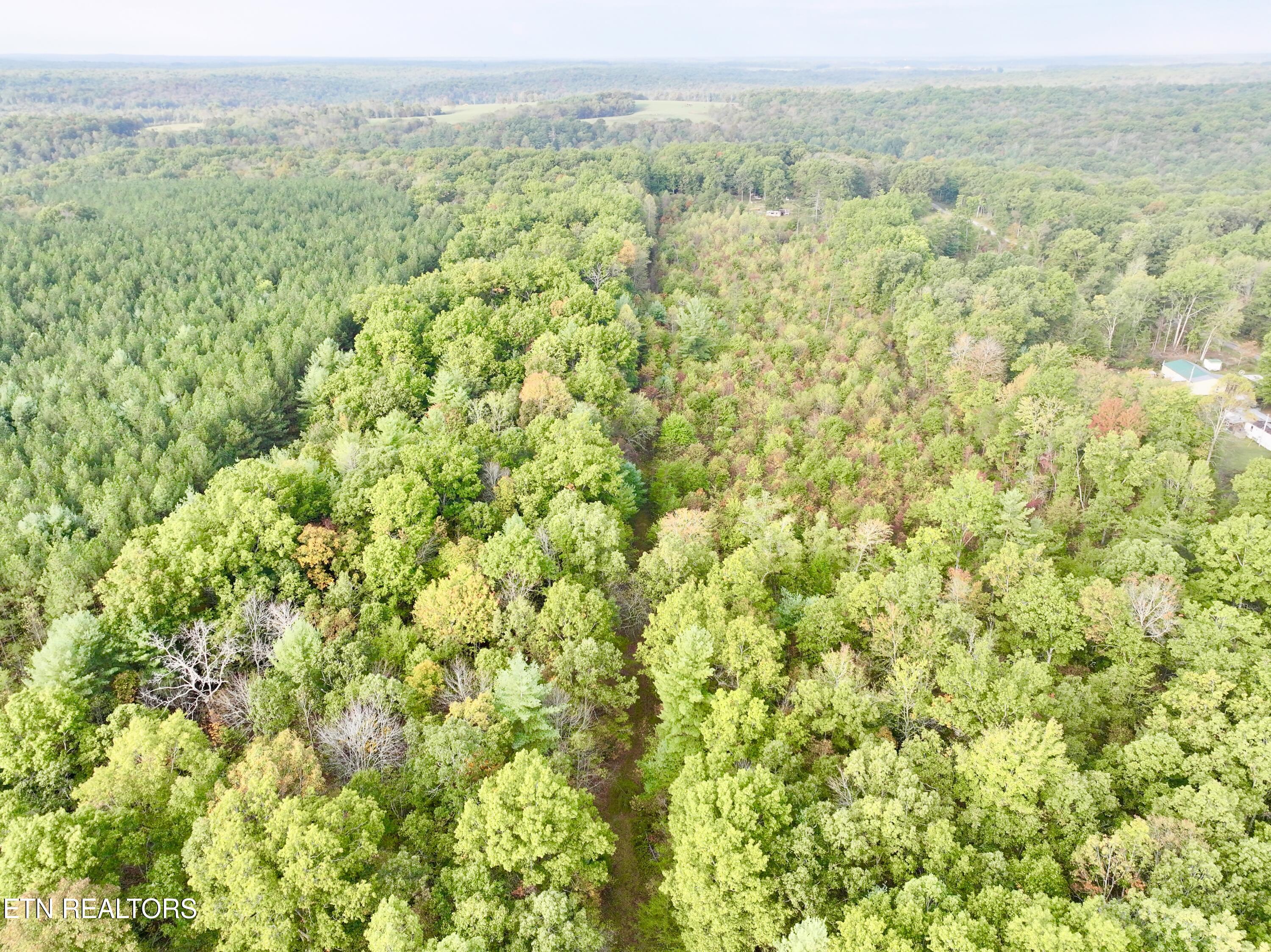 0 Wentland Drive Deer Lodge, TN 37726 - Photo 14 of 21 dji_fly_20241004_080730_0341_17280716032