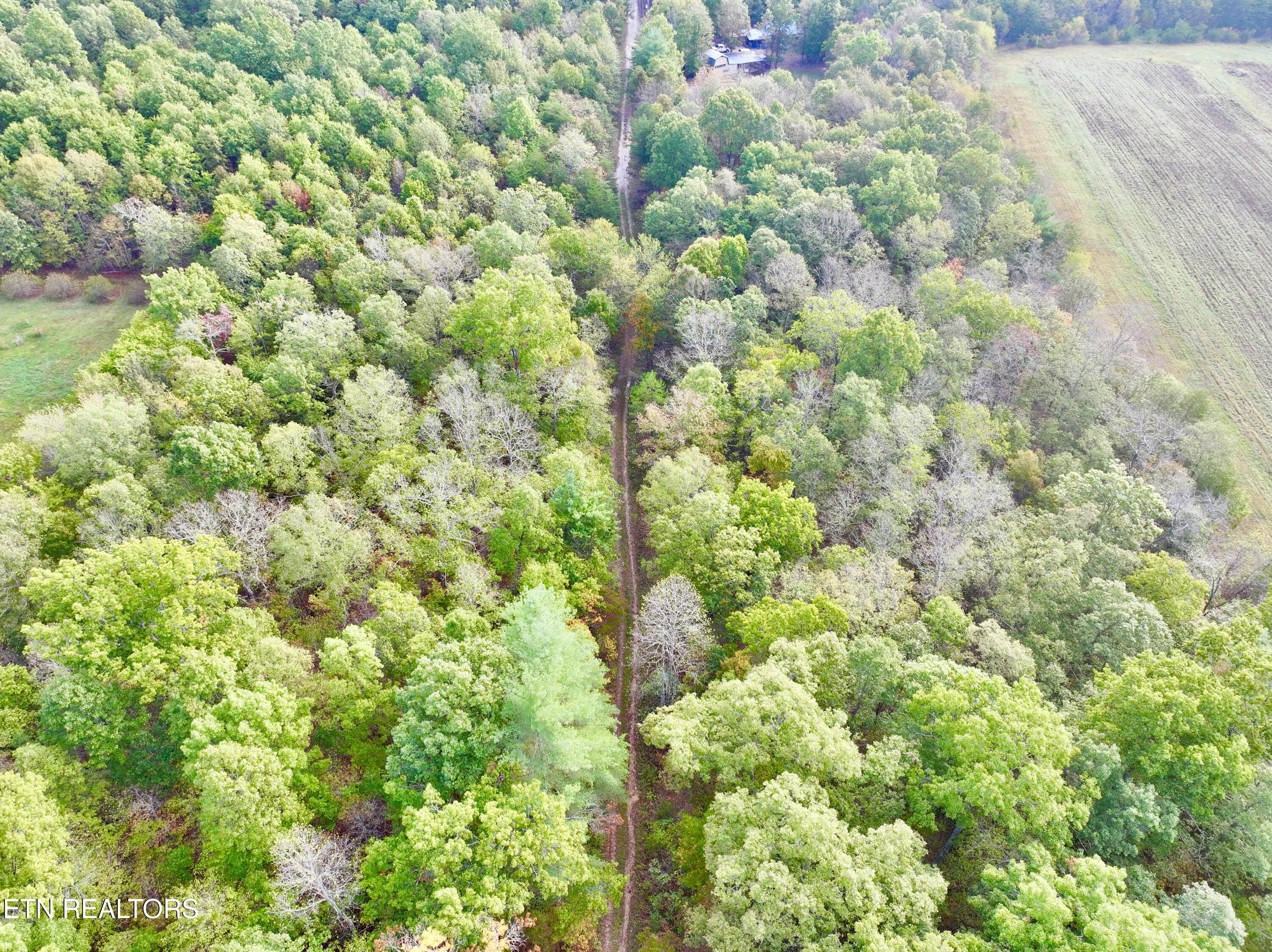 0 Wentland Drive Deer Lodge, TN 37726 - Photo 15 of 21 dji_fly_20241004_080746_0342_17280716028