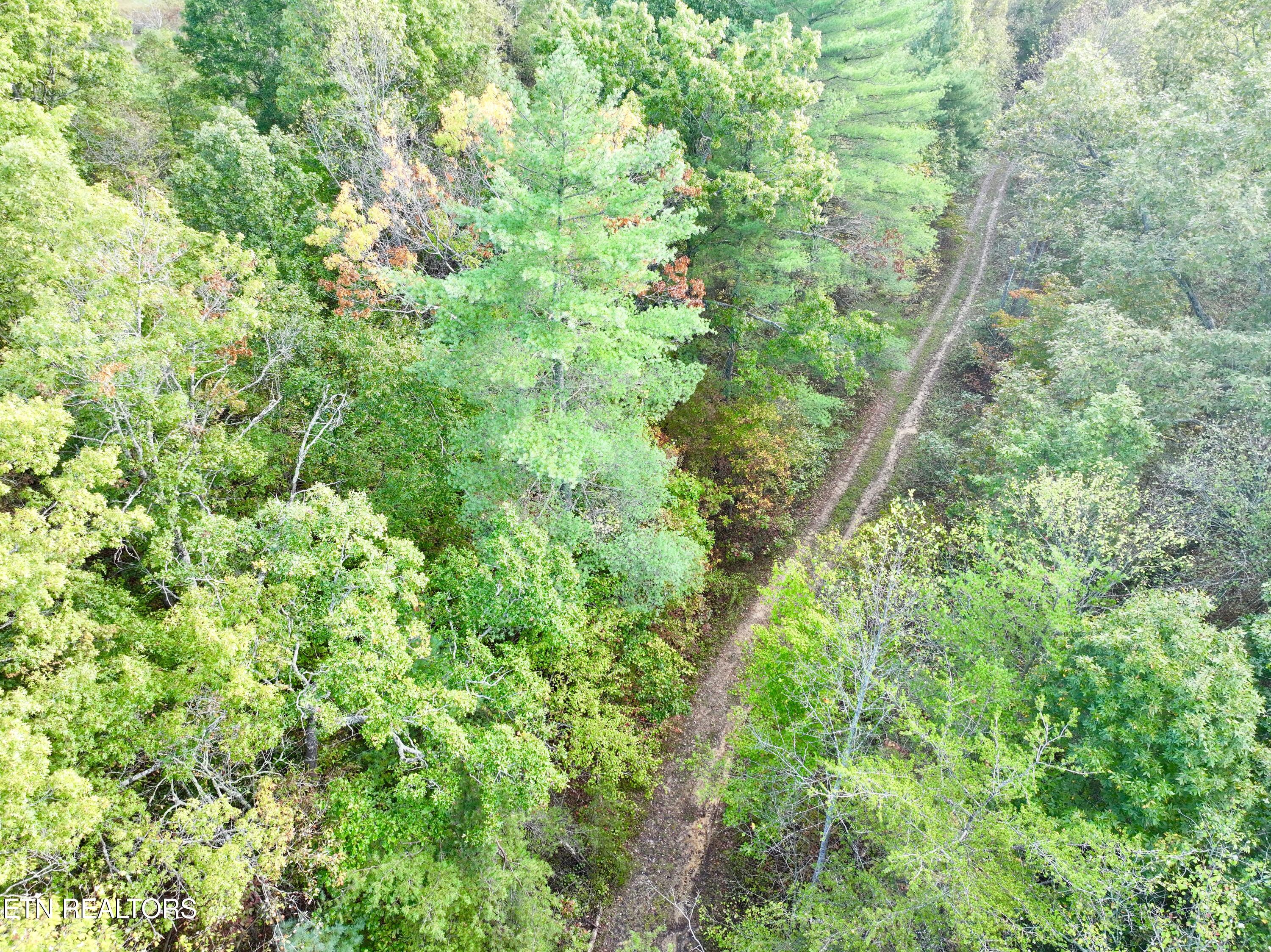 0 Wentland Drive Deer Lodge, TN 37726 - Photo 16 of 21 dji_fly_20241004_080516_0335_17280716063