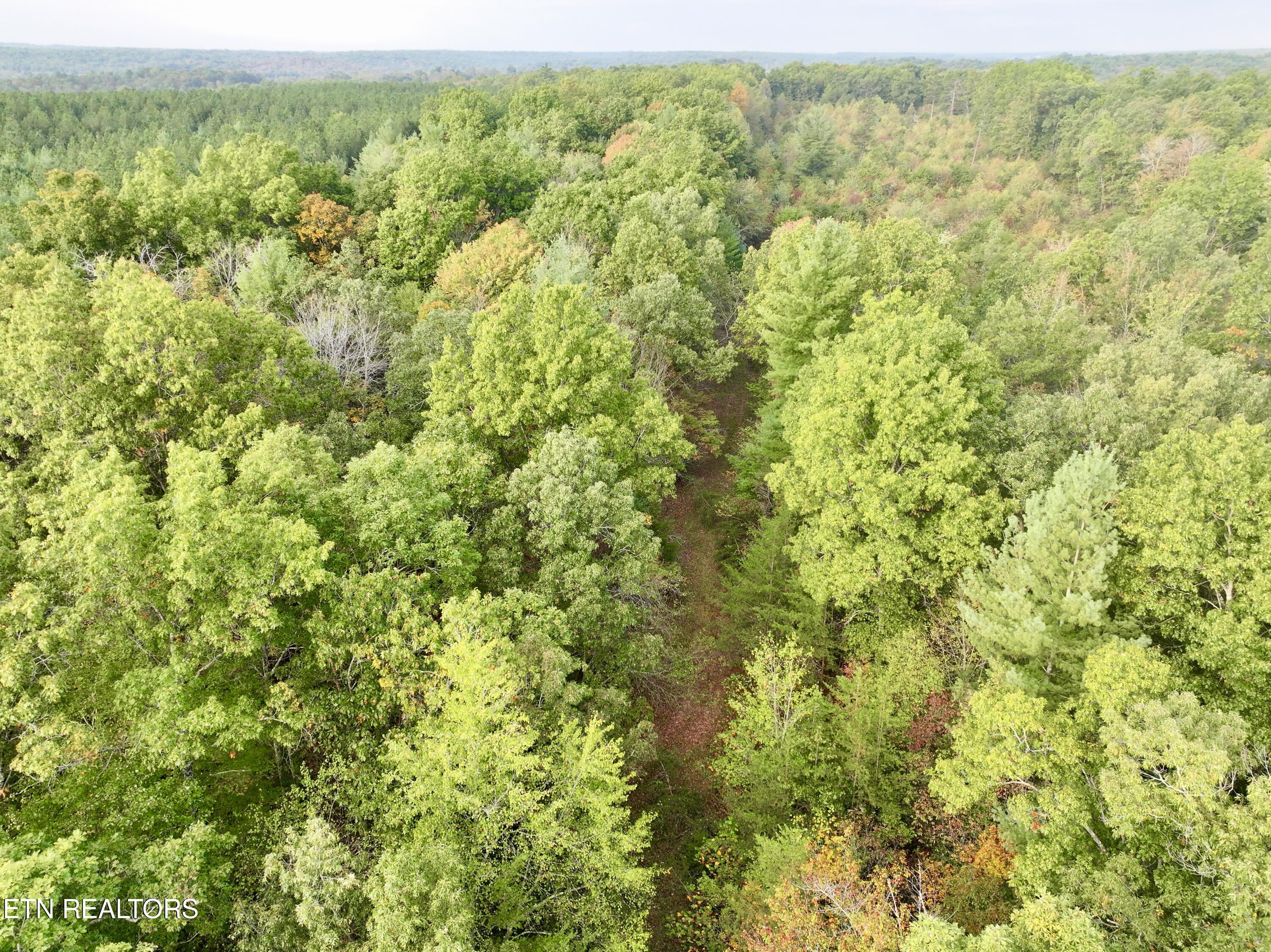 0 Wentland Drive Deer Lodge, TN 37726 - Photo 18 of 21 dji_fly_20241004_080612_0338_17280716046