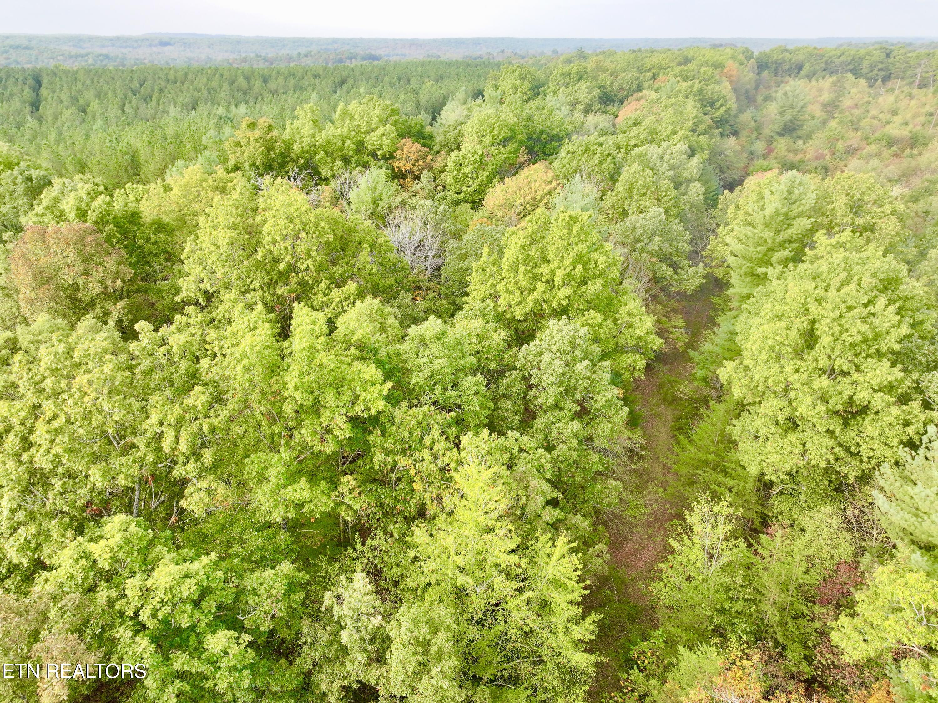 0 Wentland Drive Deer Lodge, TN 37726 - Photo 19 of 21 dji_fly_20241004_080614_0339_17280716042
