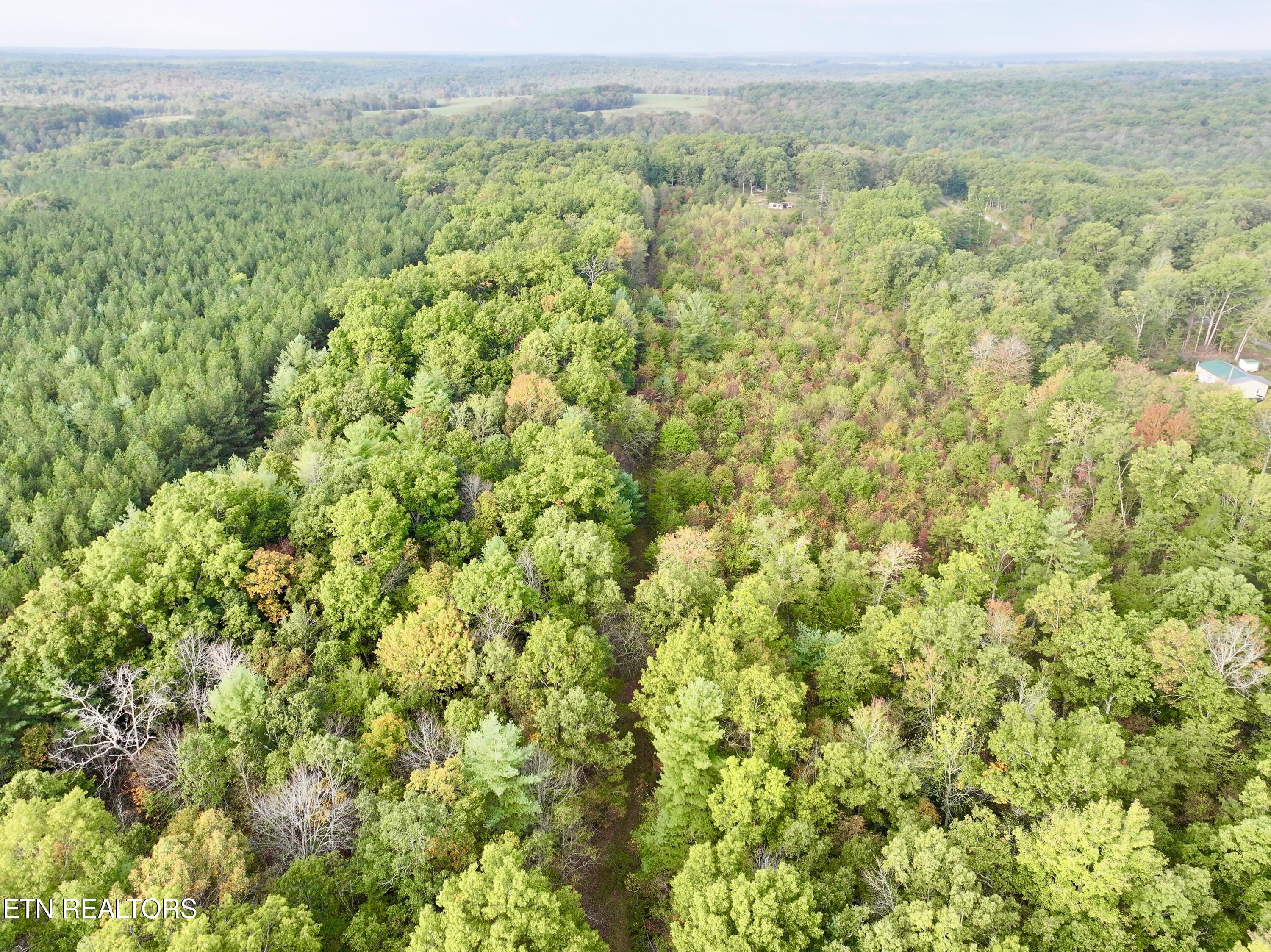 0 Wentland Drive Deer Lodge, TN 37726 - Photo 20 of 21 dji_fly_20241004_080718_0340_17280716037