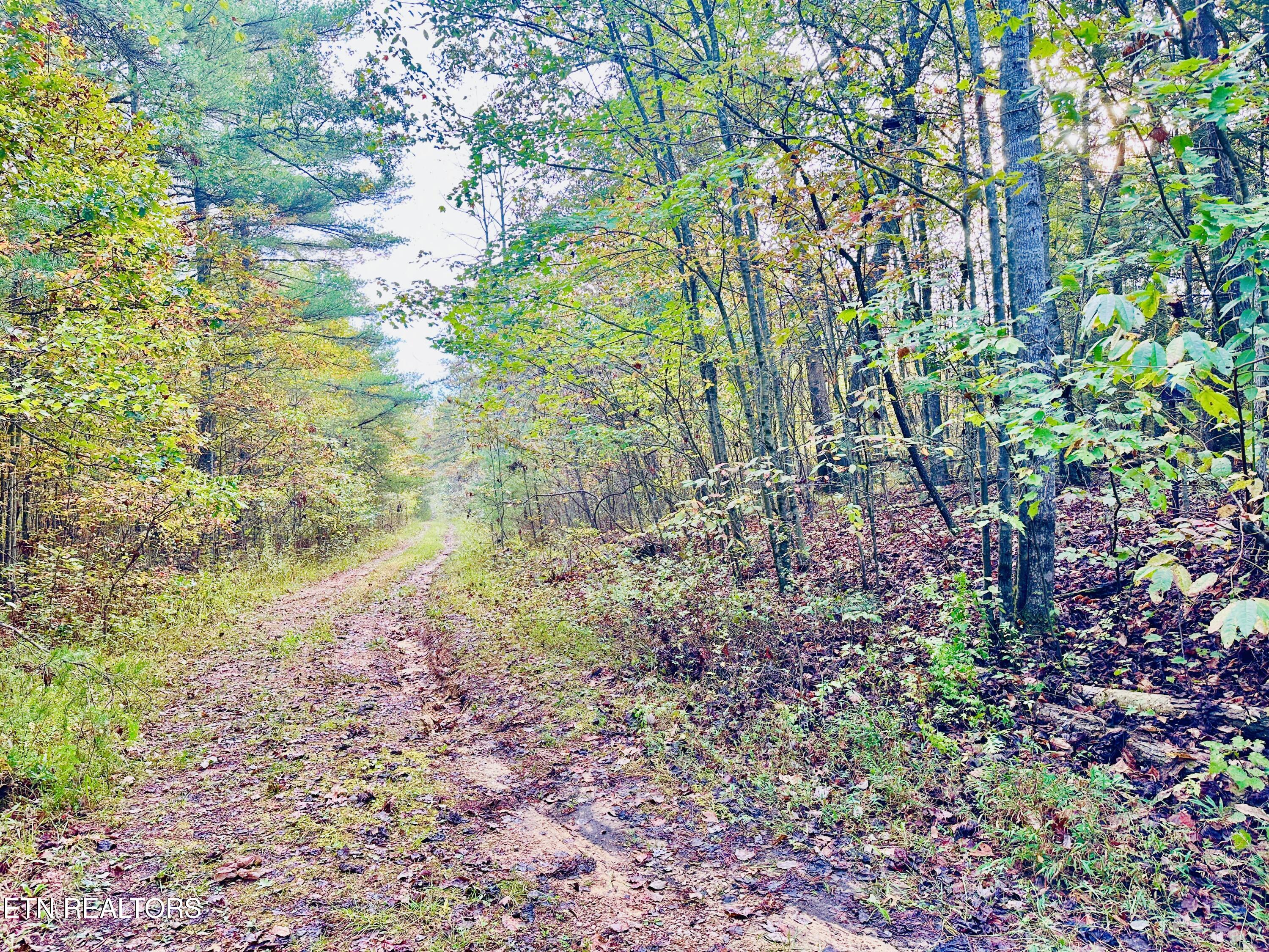 0 Wentland Drive Deer Lodge, TN 37726 - Photo 21 of 21 IMG_7109