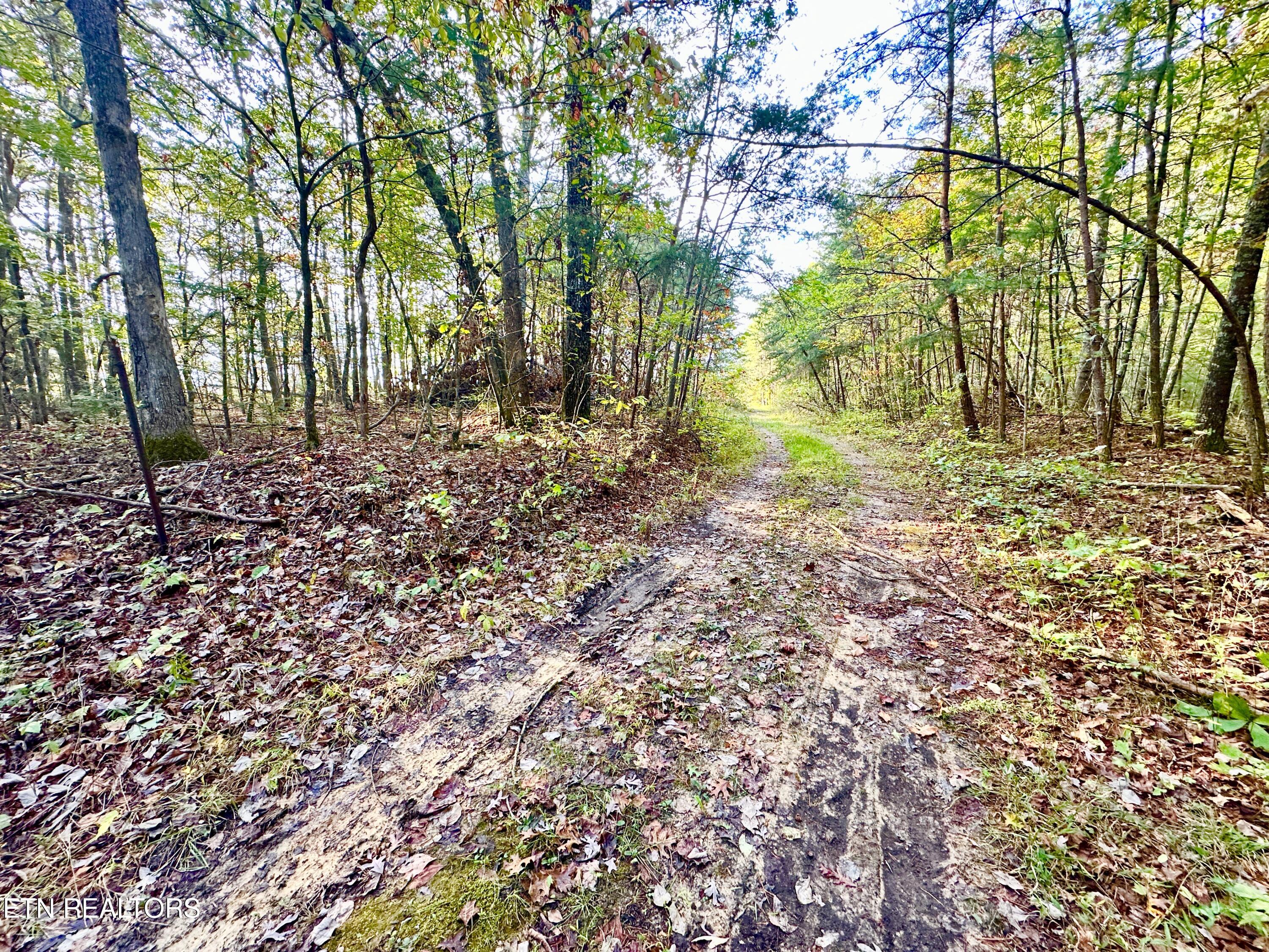 0 Wentland Drive Deer Lodge, TN 37726 - Photo 3 of 21 IMG_7114