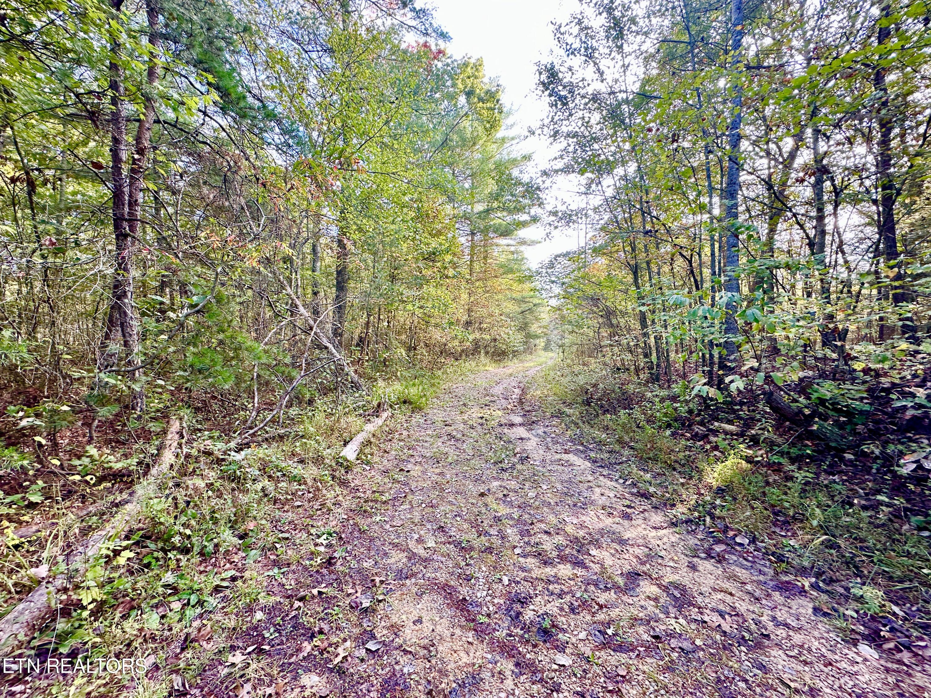 0 Wentland Drive Deer Lodge, TN 37726 - Photo 6 of 21 IMG_7111