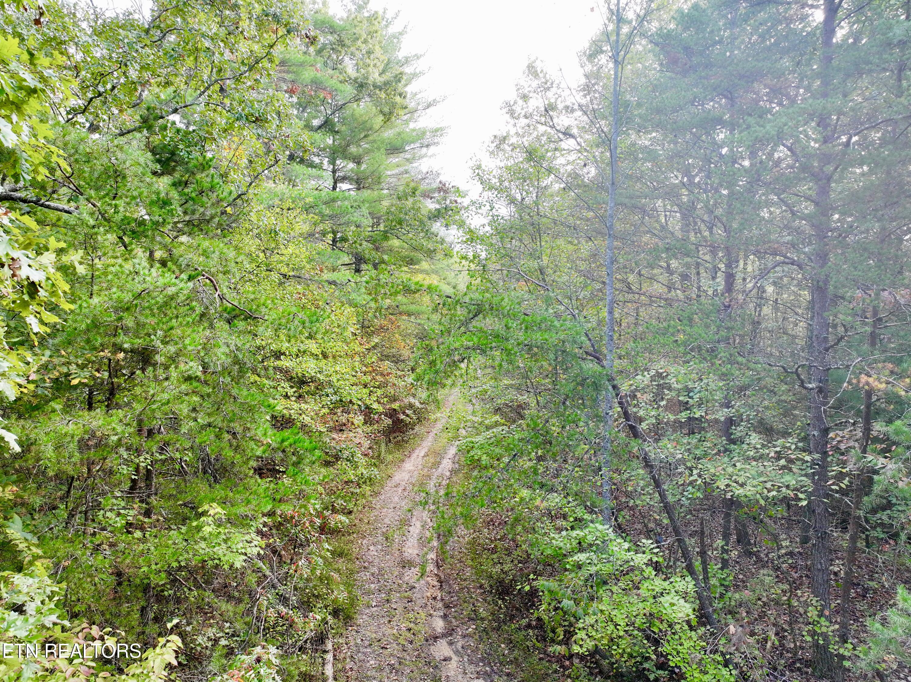 0 Wentland Drive Deer Lodge, TN 37726 - Photo 7 of 21 dji_fly_20241004_081010_0354_17280715980