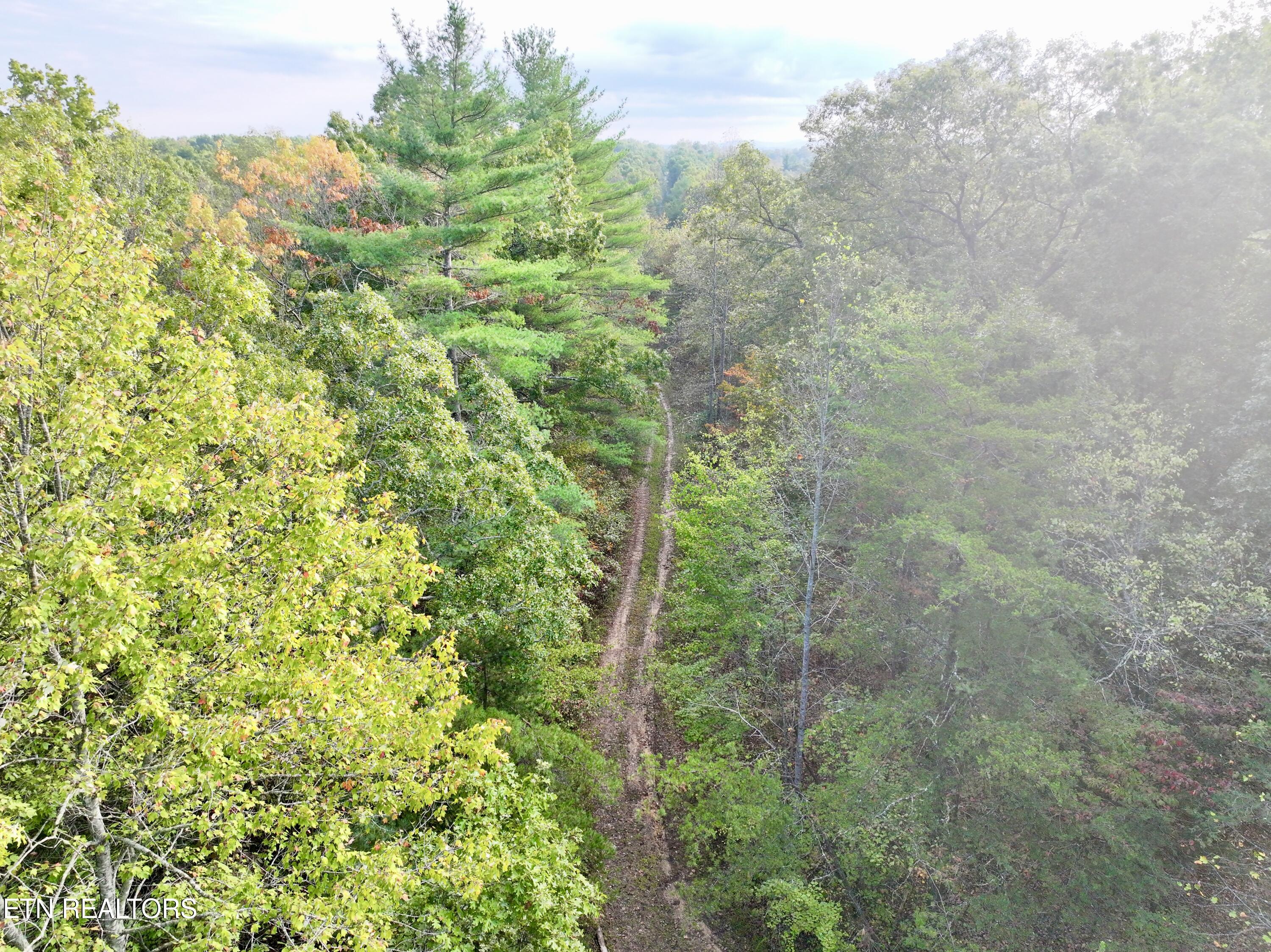 0 Wentland Drive Deer Lodge, TN 37726 - Photo 8 of 21 dji_fly_20241004_080940_0353_17280715983