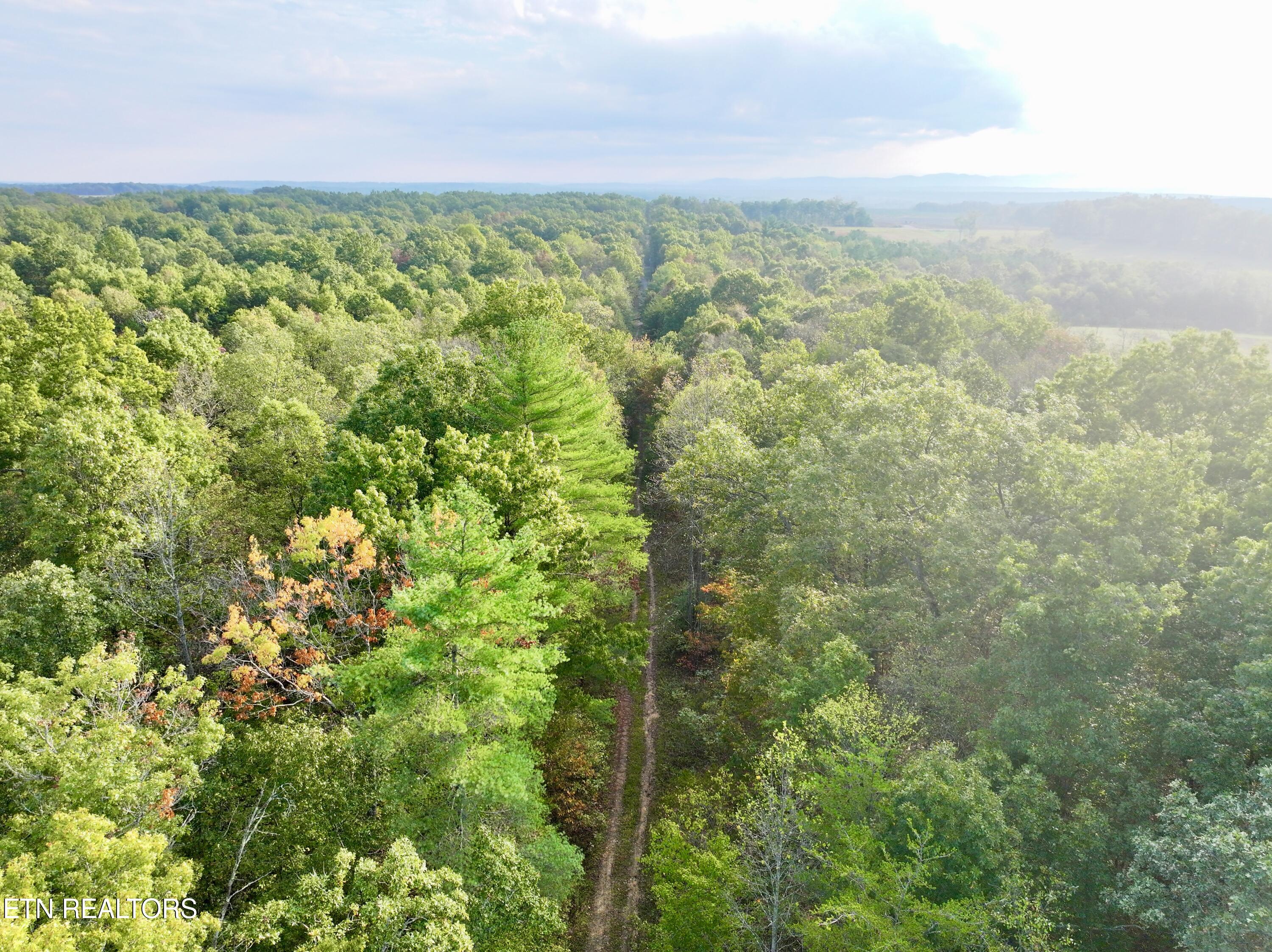 0 Wentland Drive Deer Lodge, TN 37726 - Photo 9 of 21 dji_fly_20241004_080924_0350_17280715995